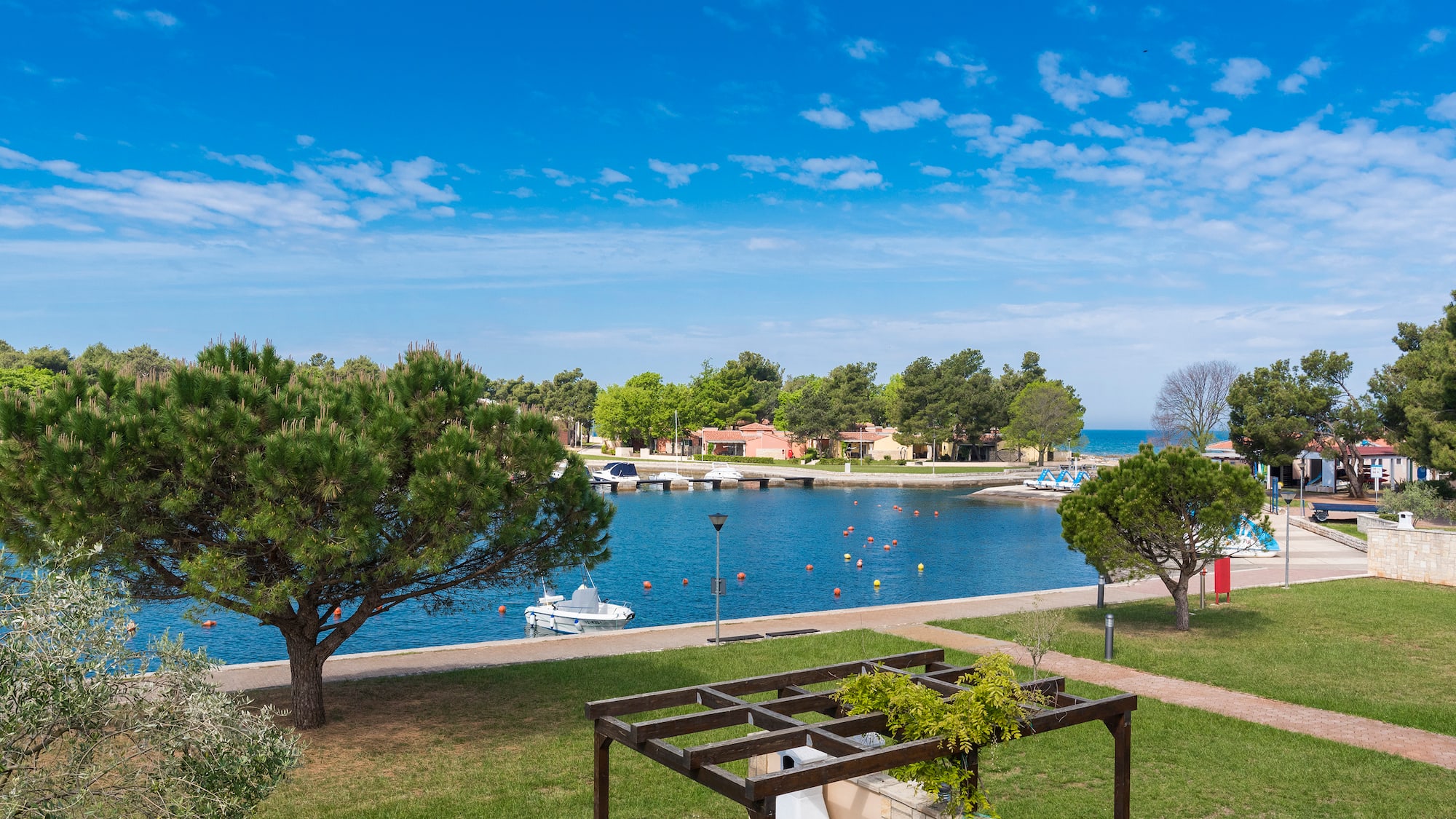 a view of a body of water and a park with trees and a boat dock