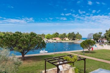 a view of a body of water and a park with trees and a boat dock