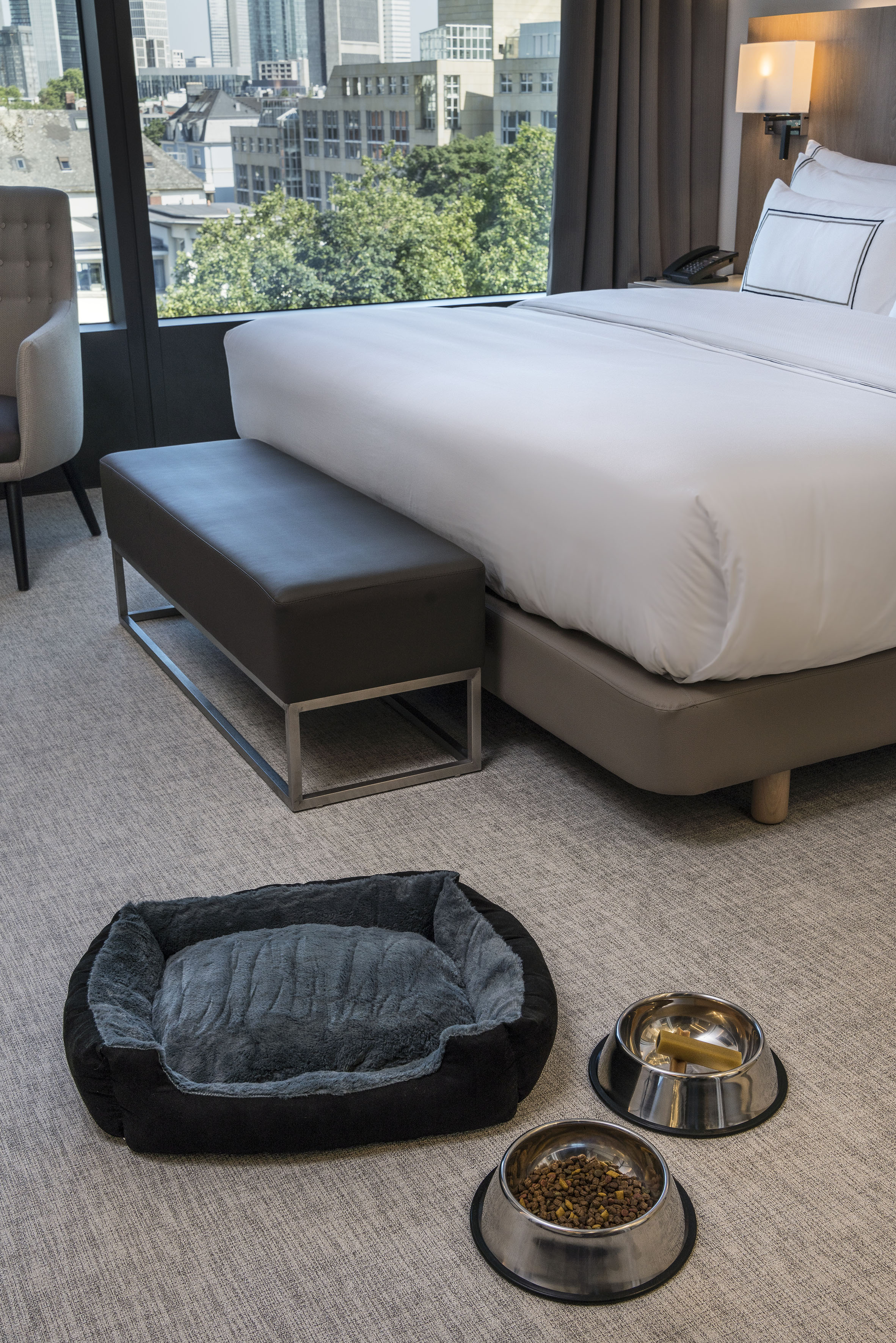 Pet-friendly hotel room with dog bed, food bowls, and city view from window.
