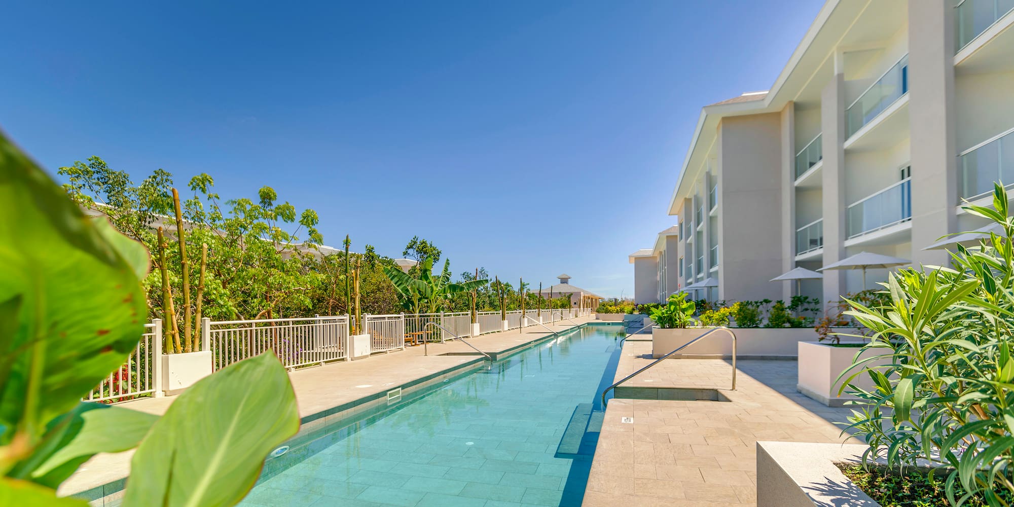 a swimming pool with plants and buildings in the background