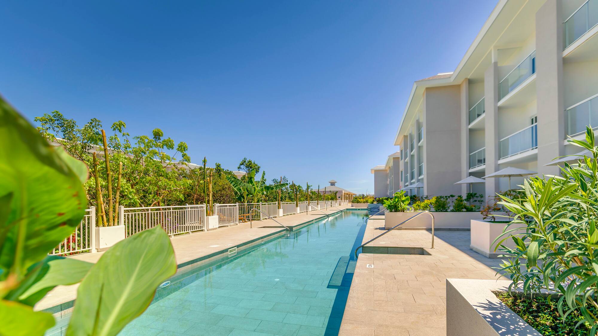 a swimming pool with plants and buildings in the background