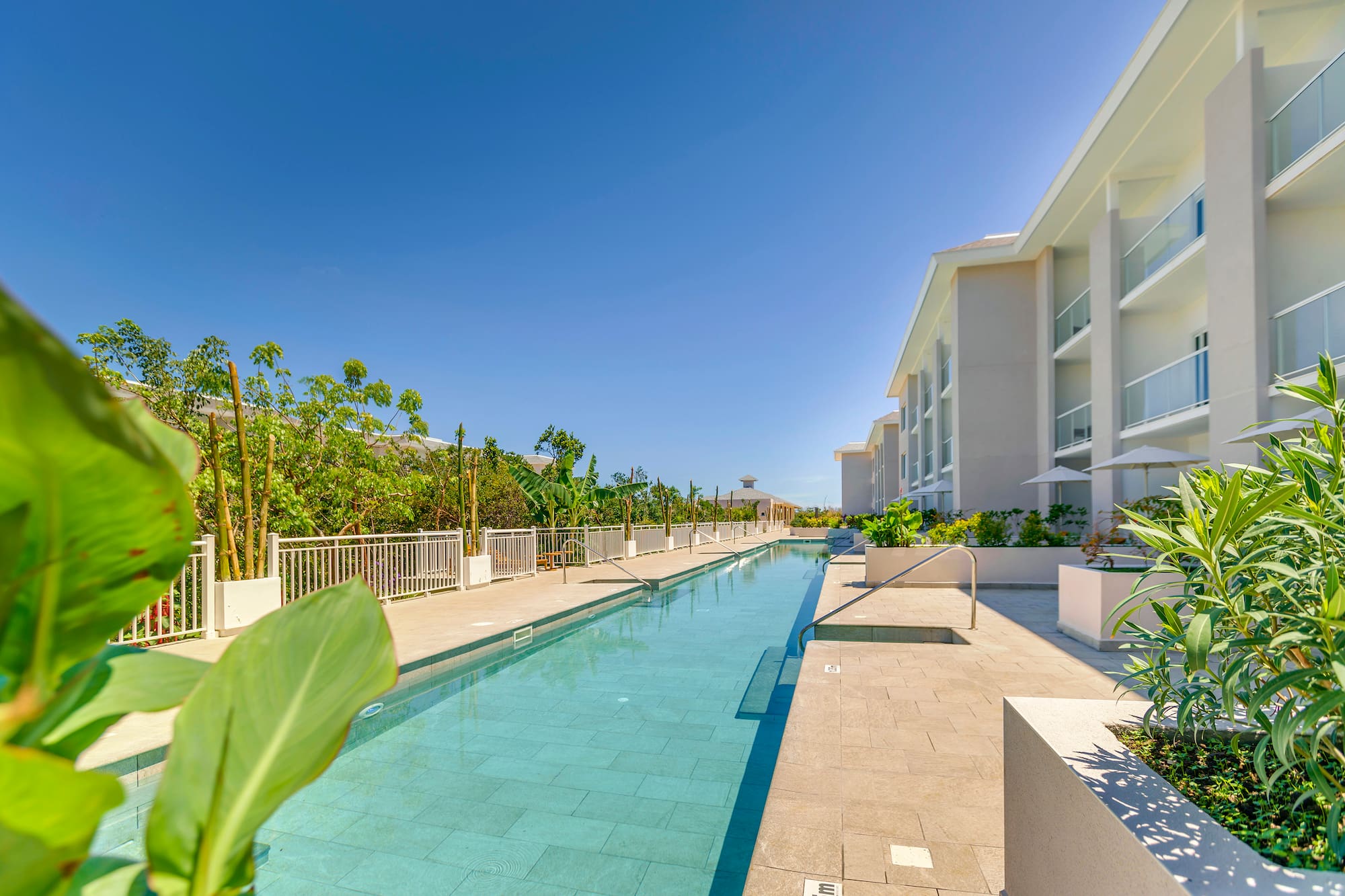 a swimming pool with plants and buildings in the background