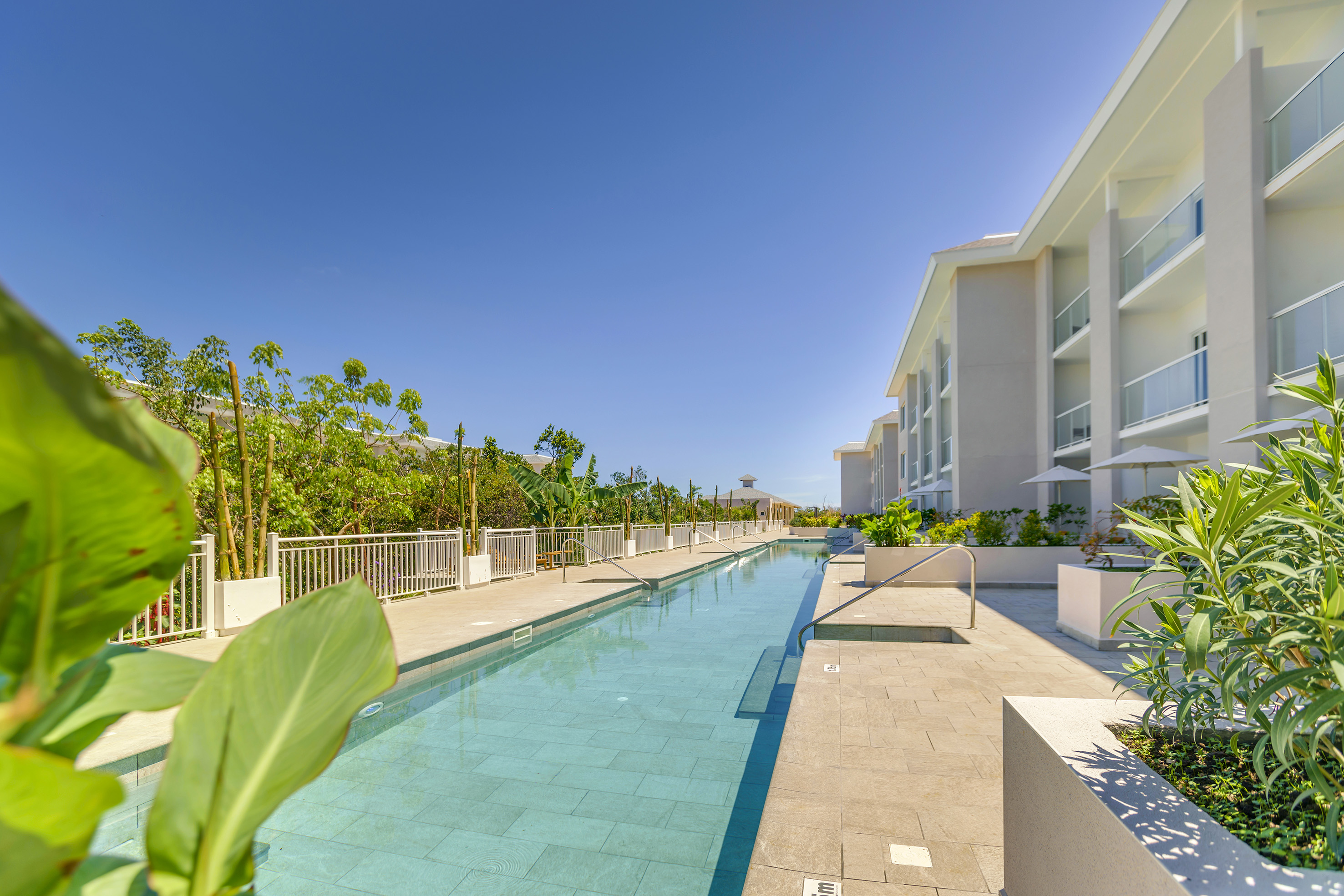 a swimming pool with plants and buildings in the background