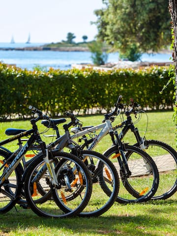 a group of bicycles parked in a park
