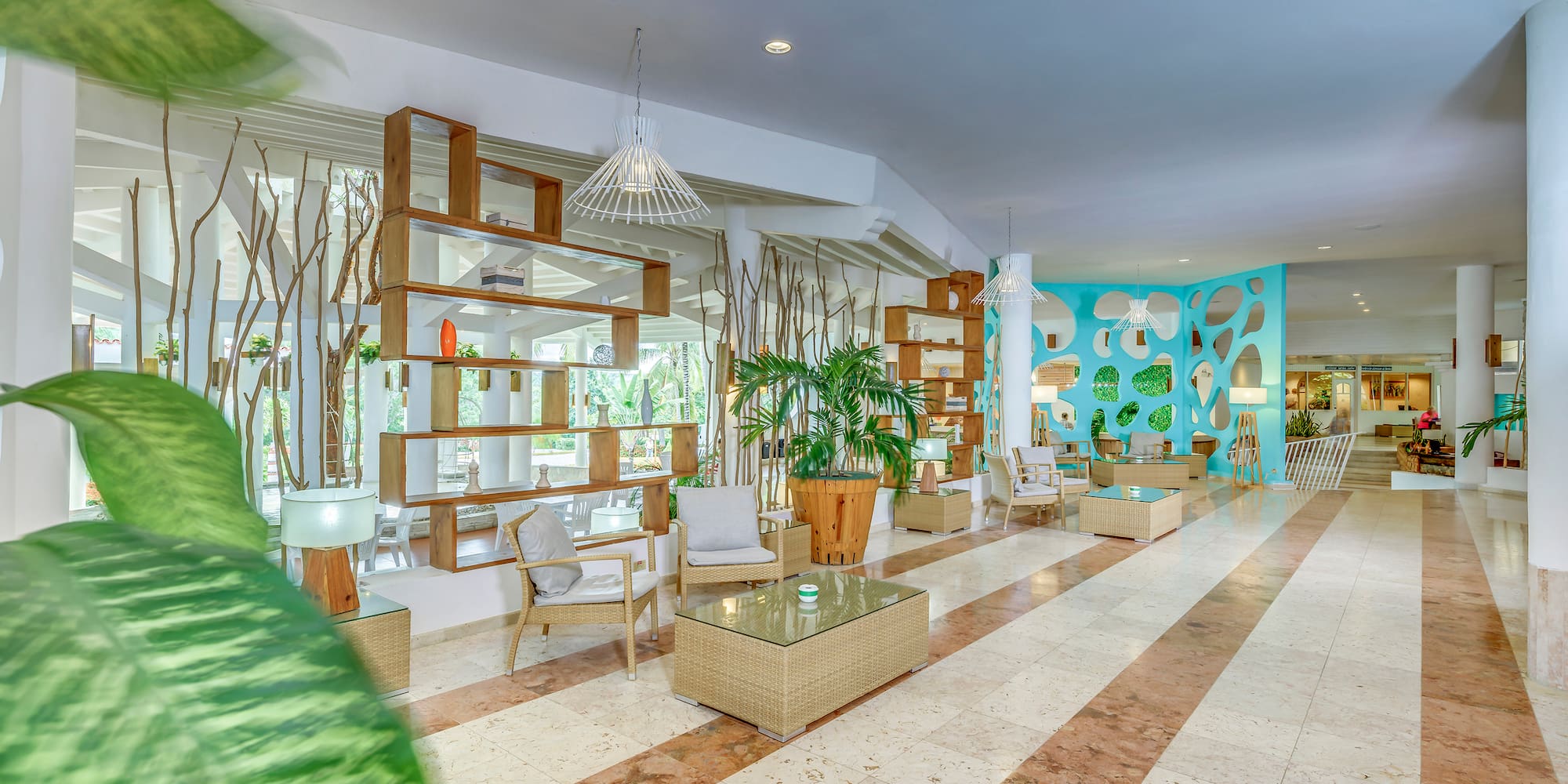 a room with a large plant