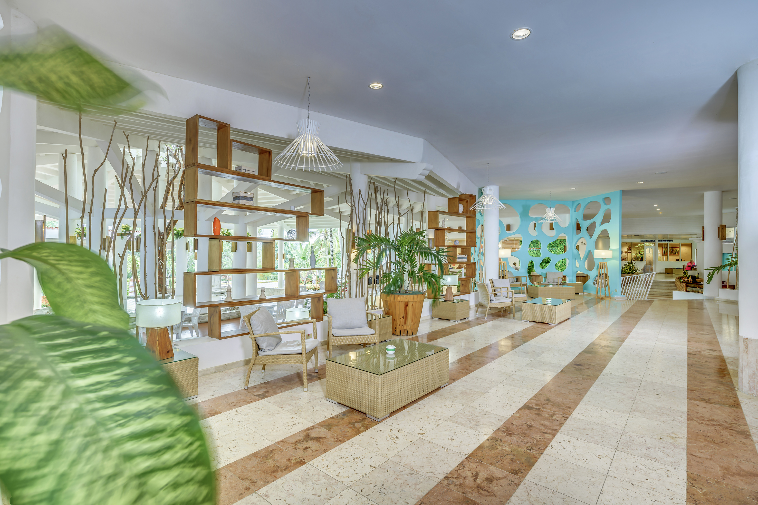 a room with a large plant