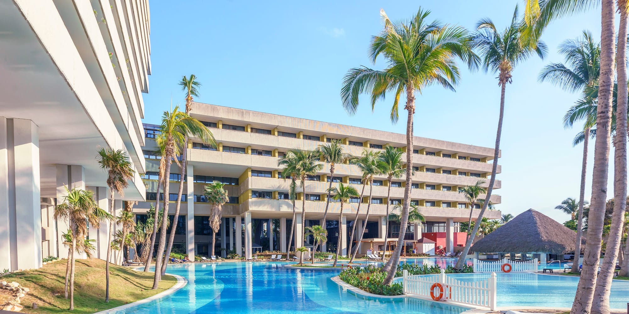 a pool with palm trees and a building
