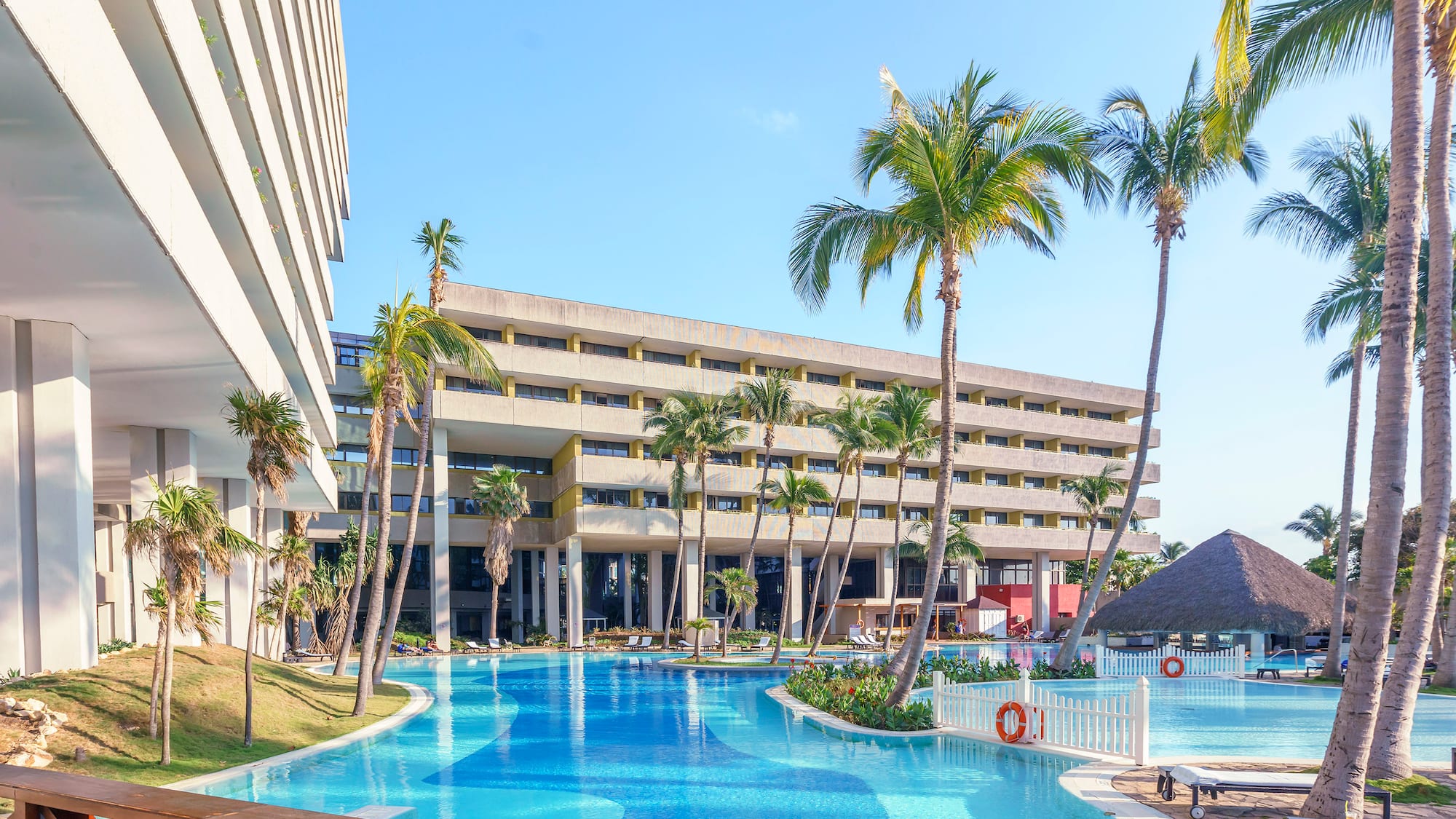 a pool with palm trees and a building