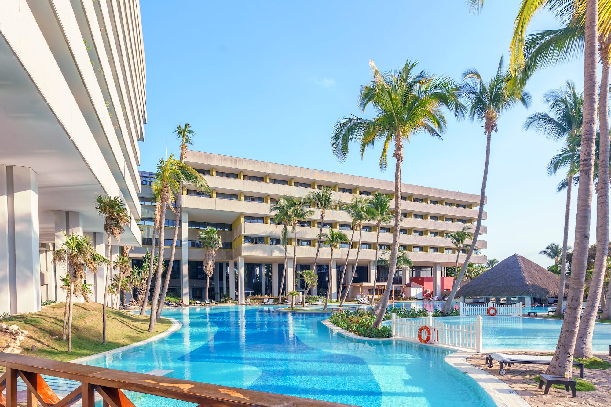 a pool with palm trees and a building