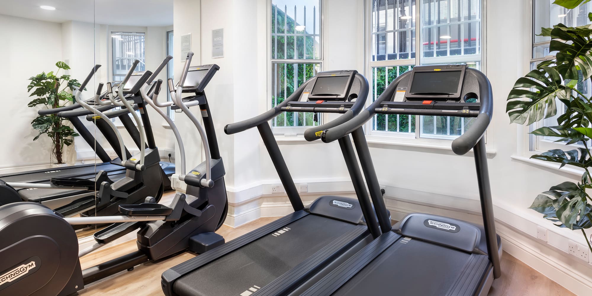 a group of treadmills in a room