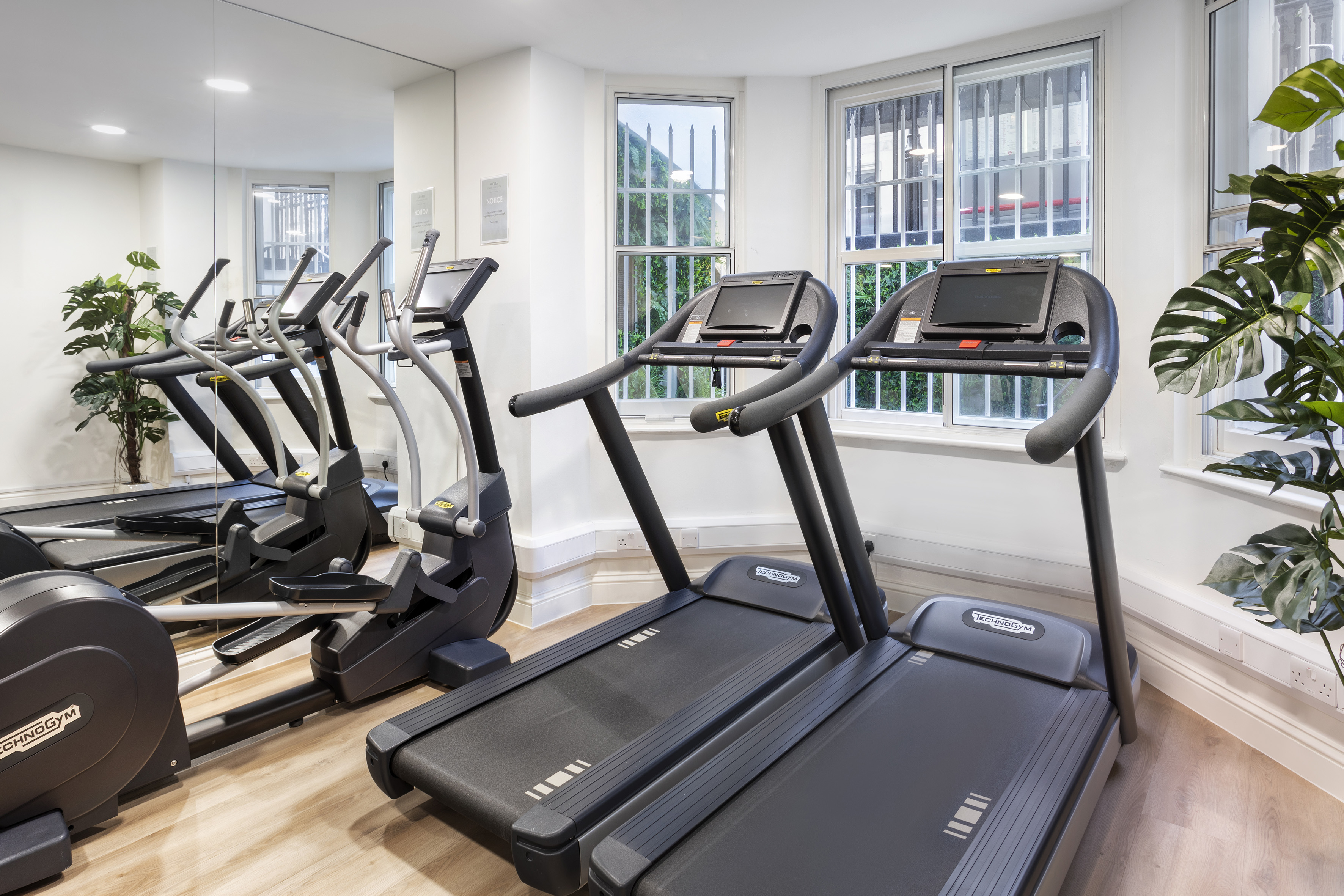Technogym treadmills and ellipticals in modern gym with mirror, wood floor.