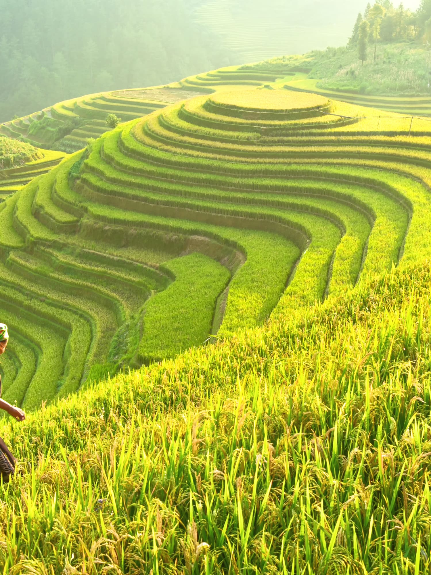 a woman walking on a hill with a basket