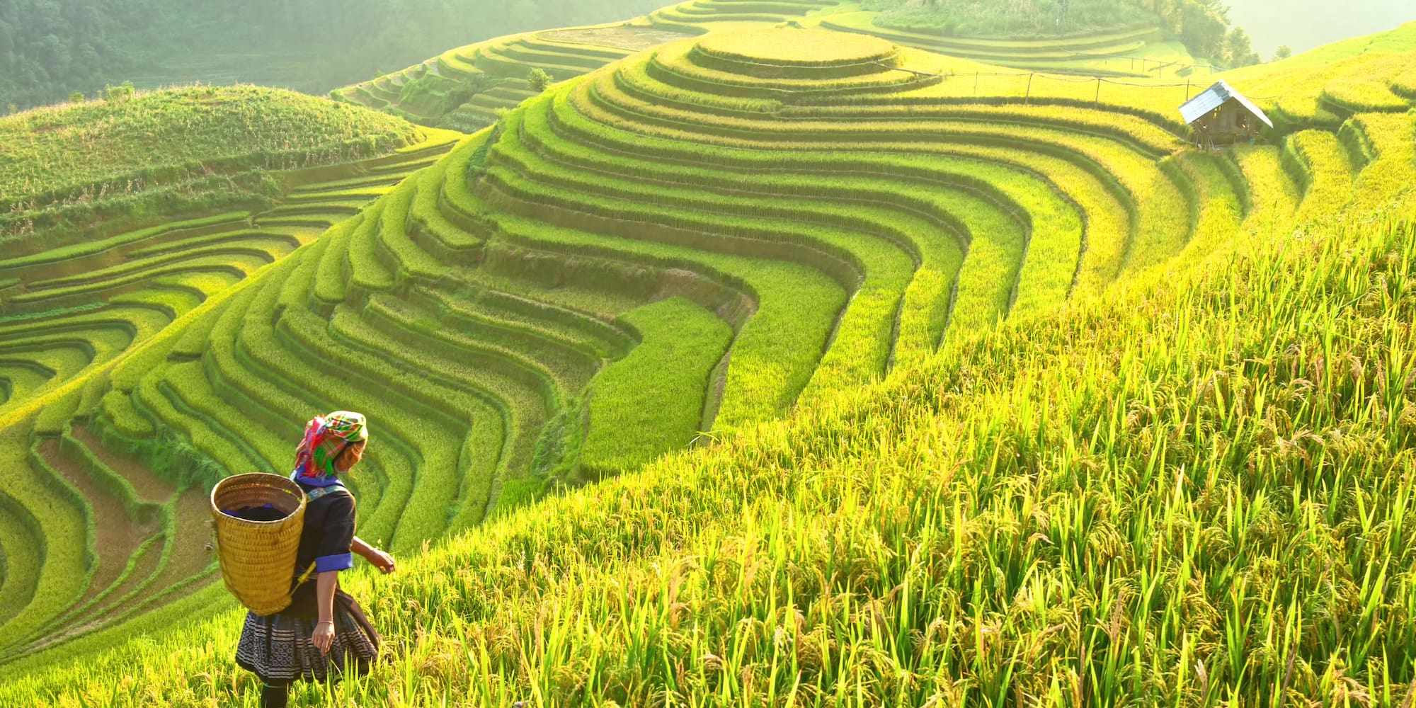 a woman walking on a hill with a basket