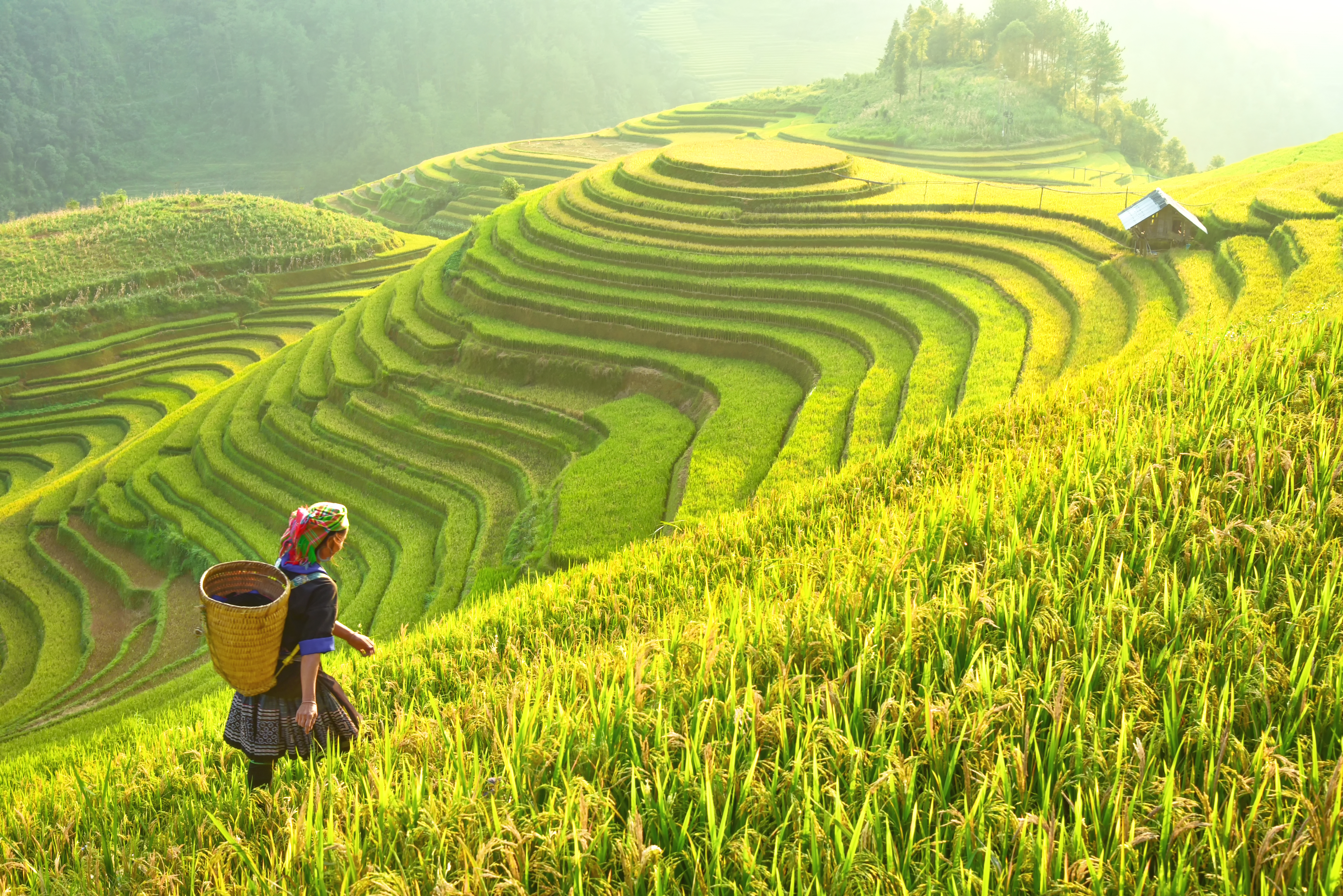 a woman walking on a hill with a basket
