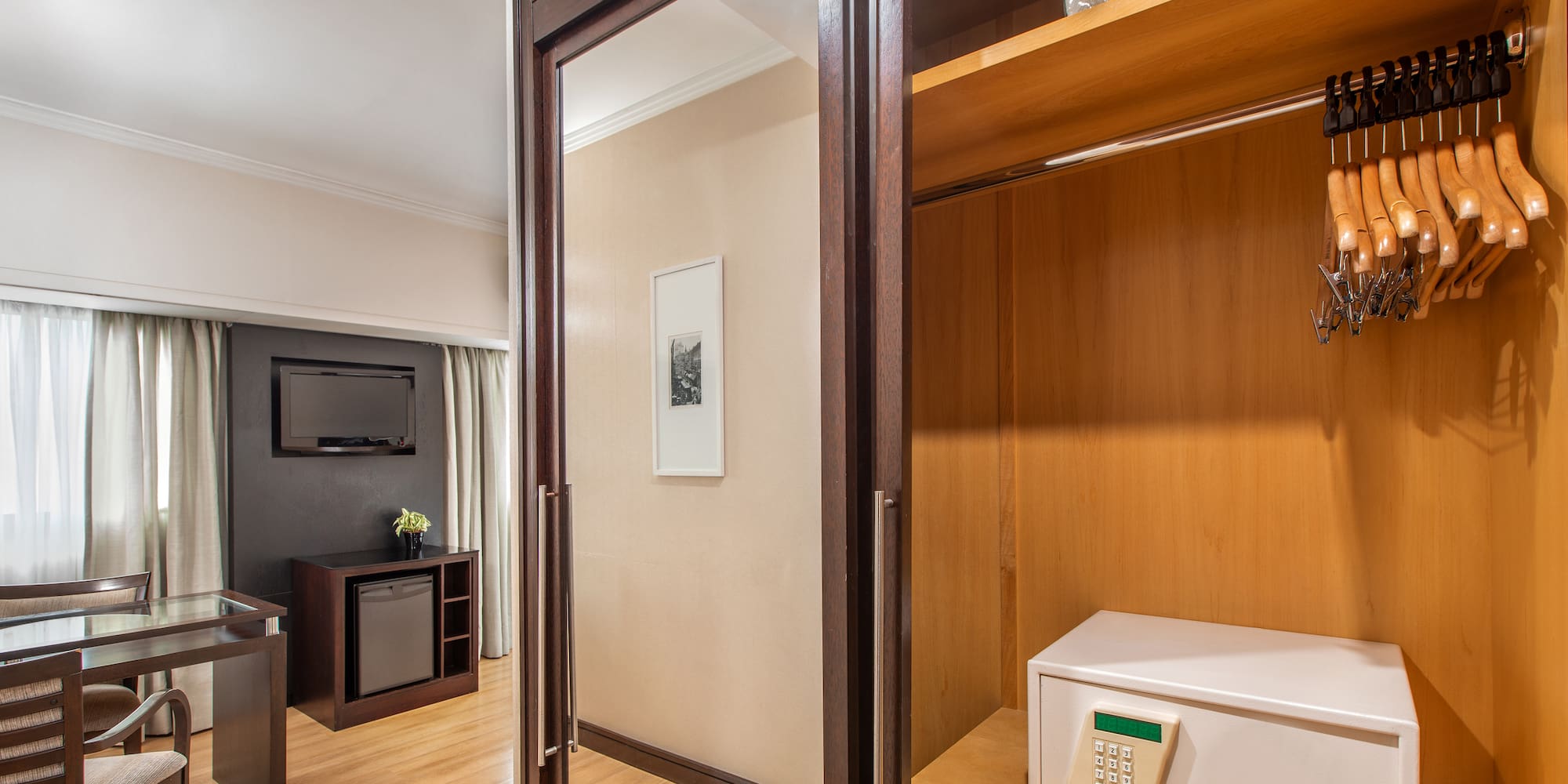 a room with a closet and a television