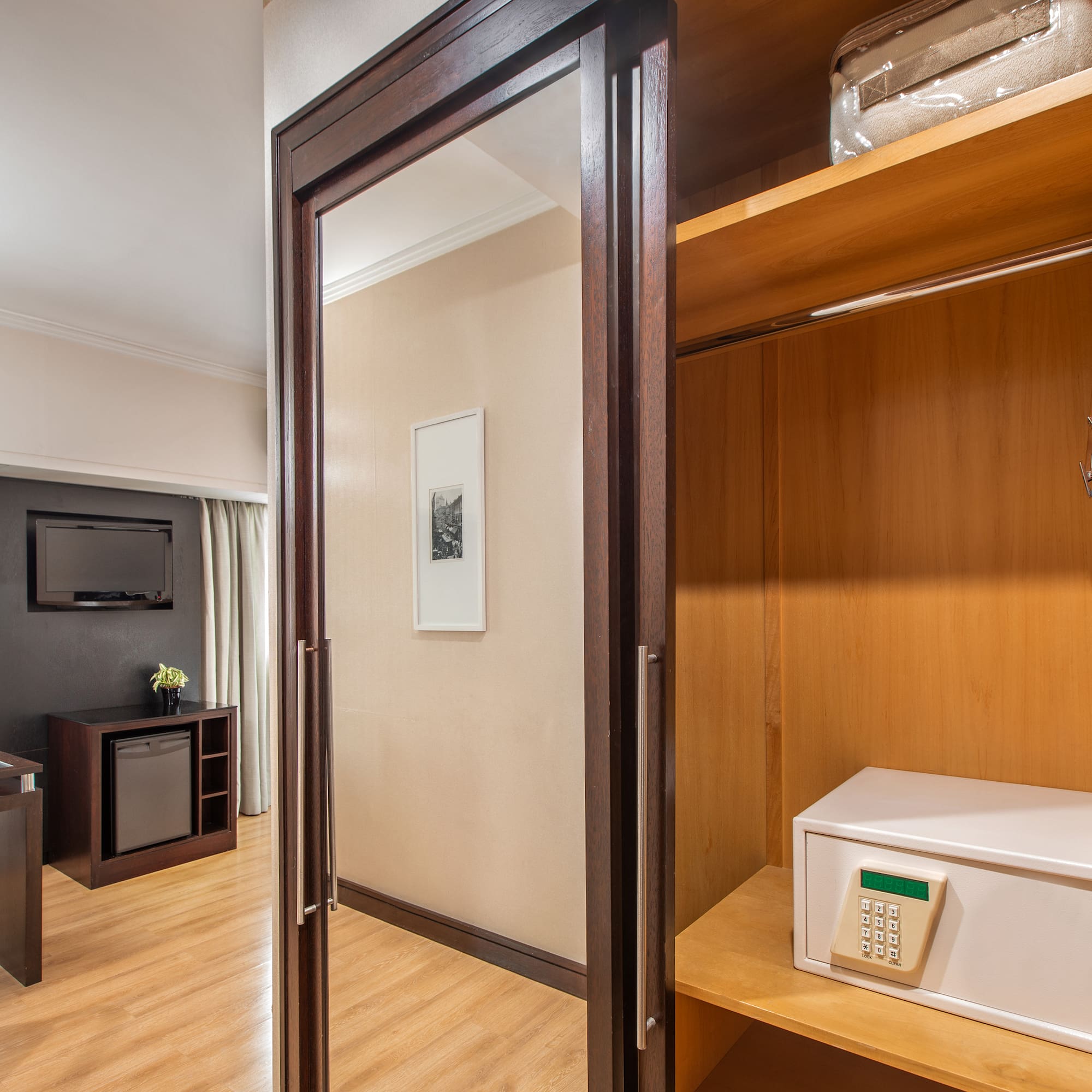 a room with a closet and a television