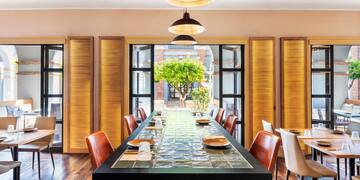 a dining table with chairs and a tree in the background