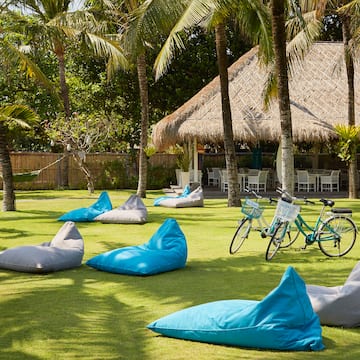 a group of bean bags on grass with trees and a bicycle