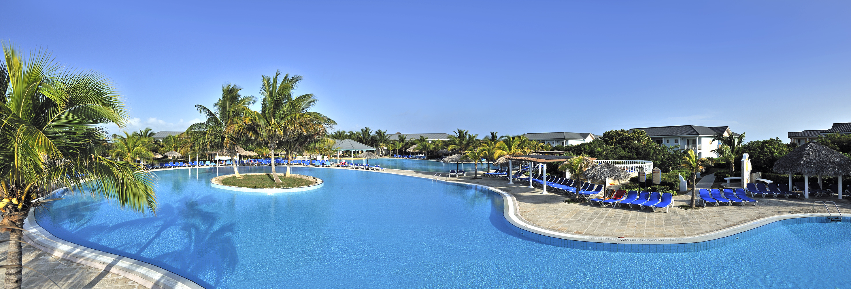 a pool with lounge chairs and palm trees