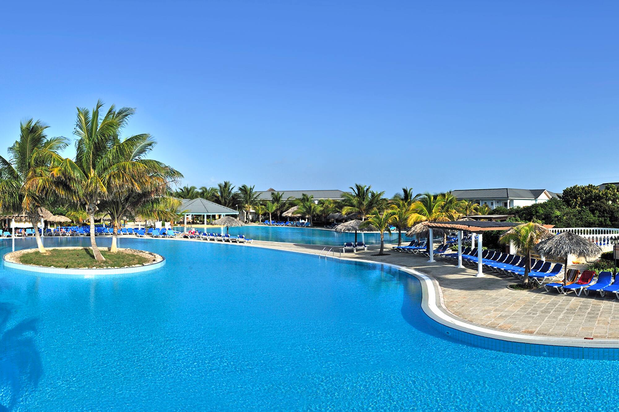 a pool with lounge chairs and palm trees