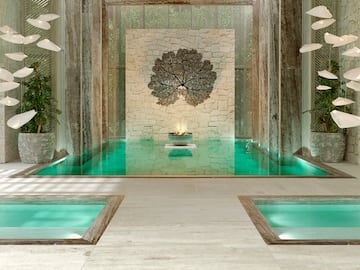 a indoor pool with a large tree in the background