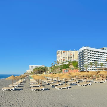 a beach with umbrellas and lounge chairs