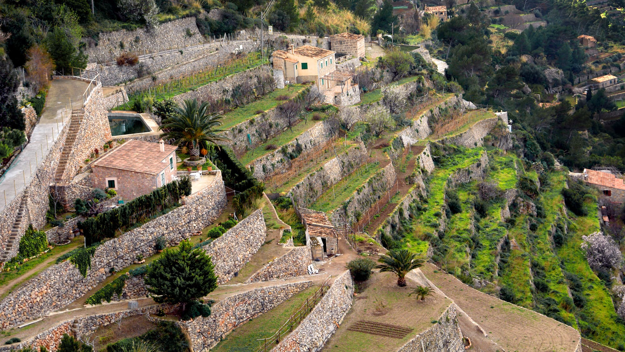 a hillside with stone walls and trees