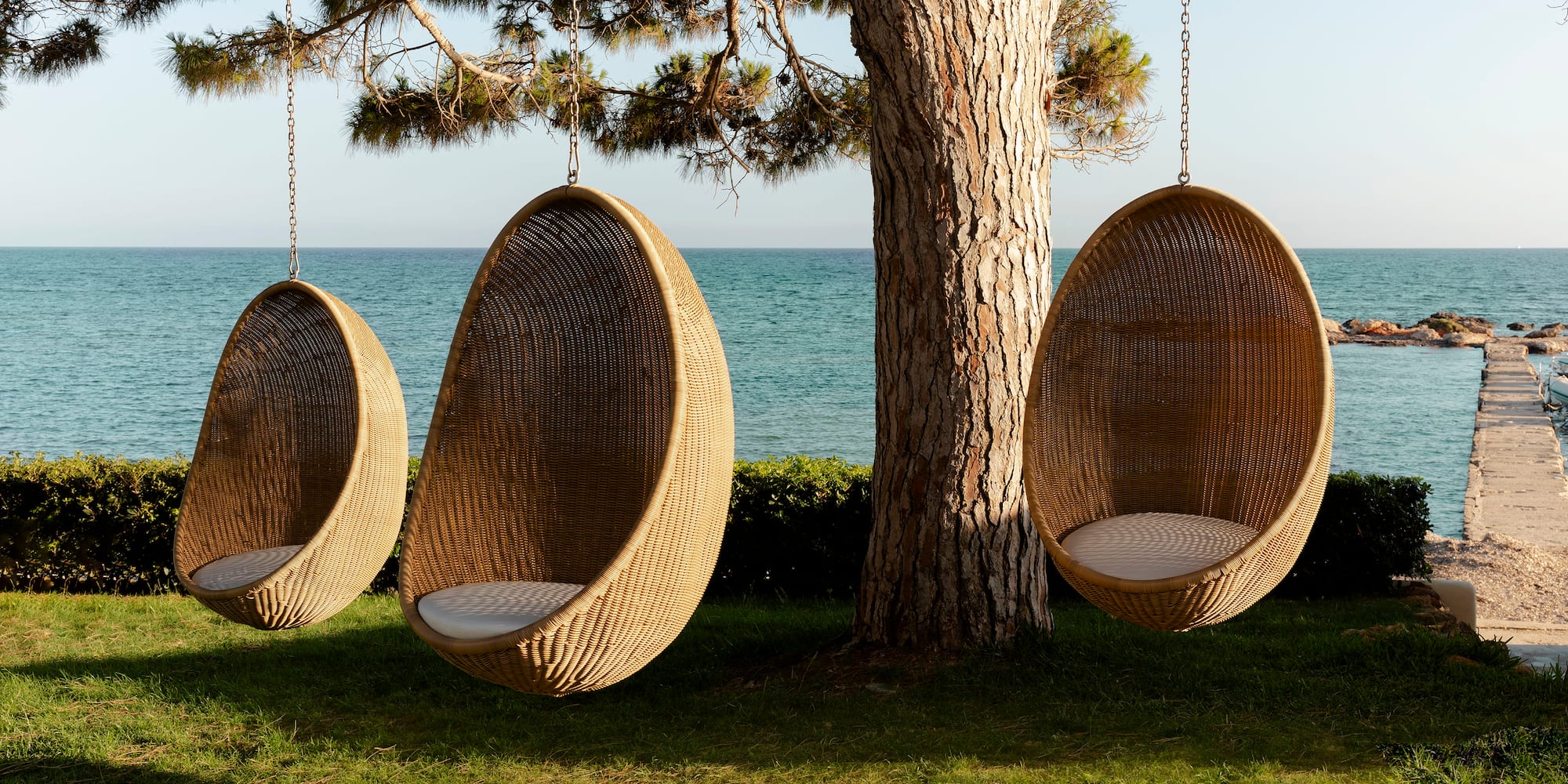 a group of chairs in a tree