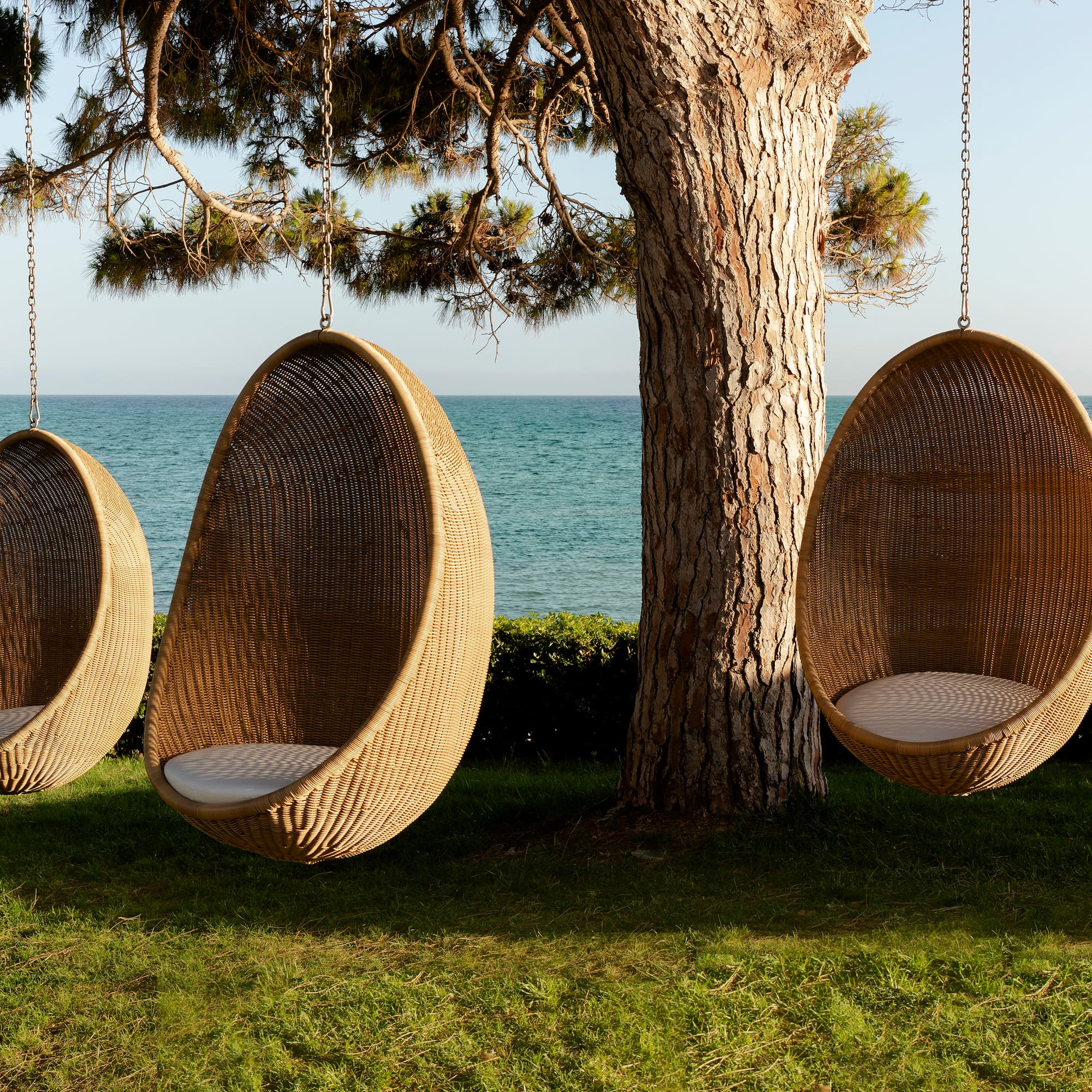 a group of chairs in a tree