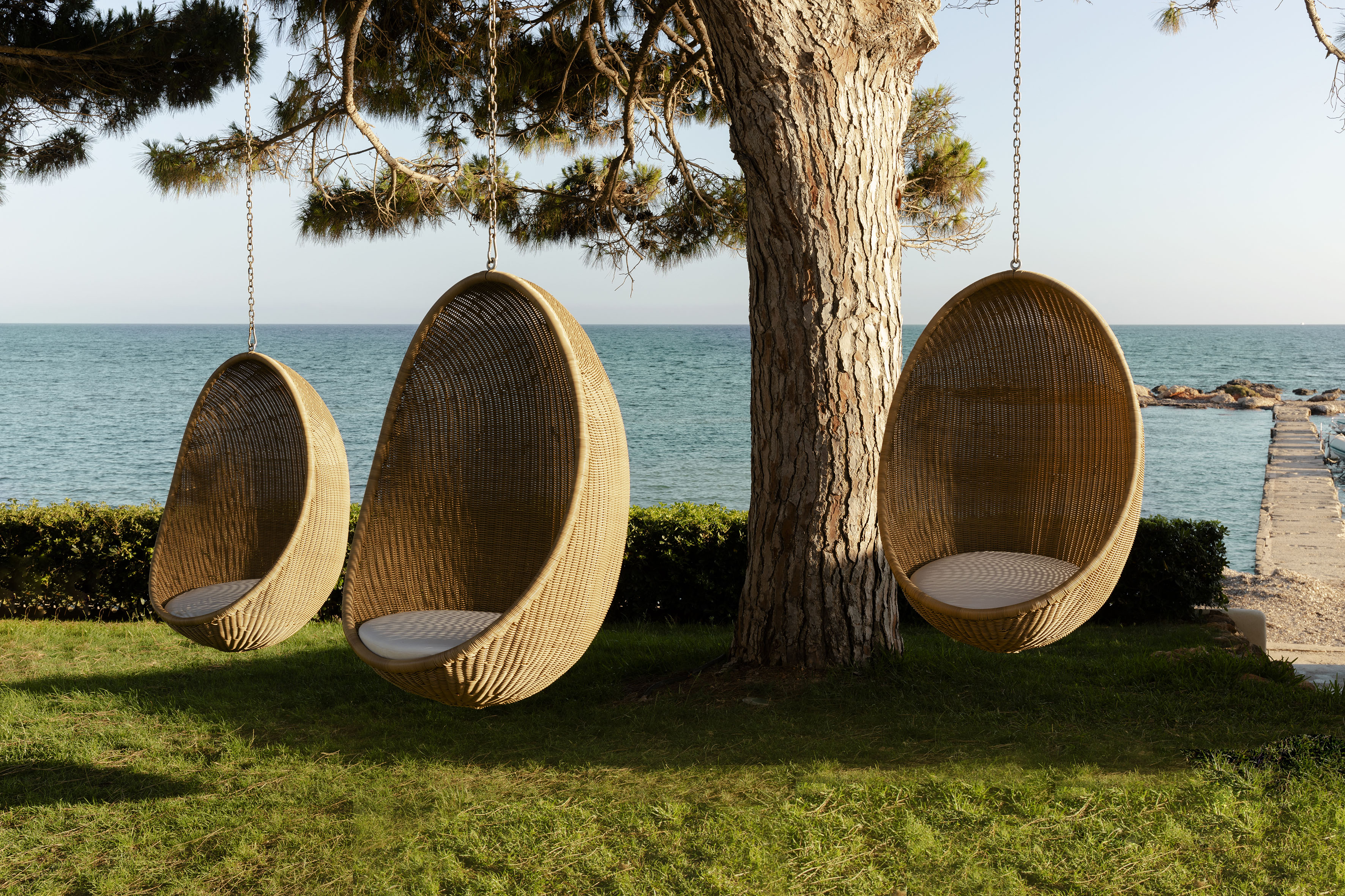 Three rattan hanging egg chairs under a tree by the sea.