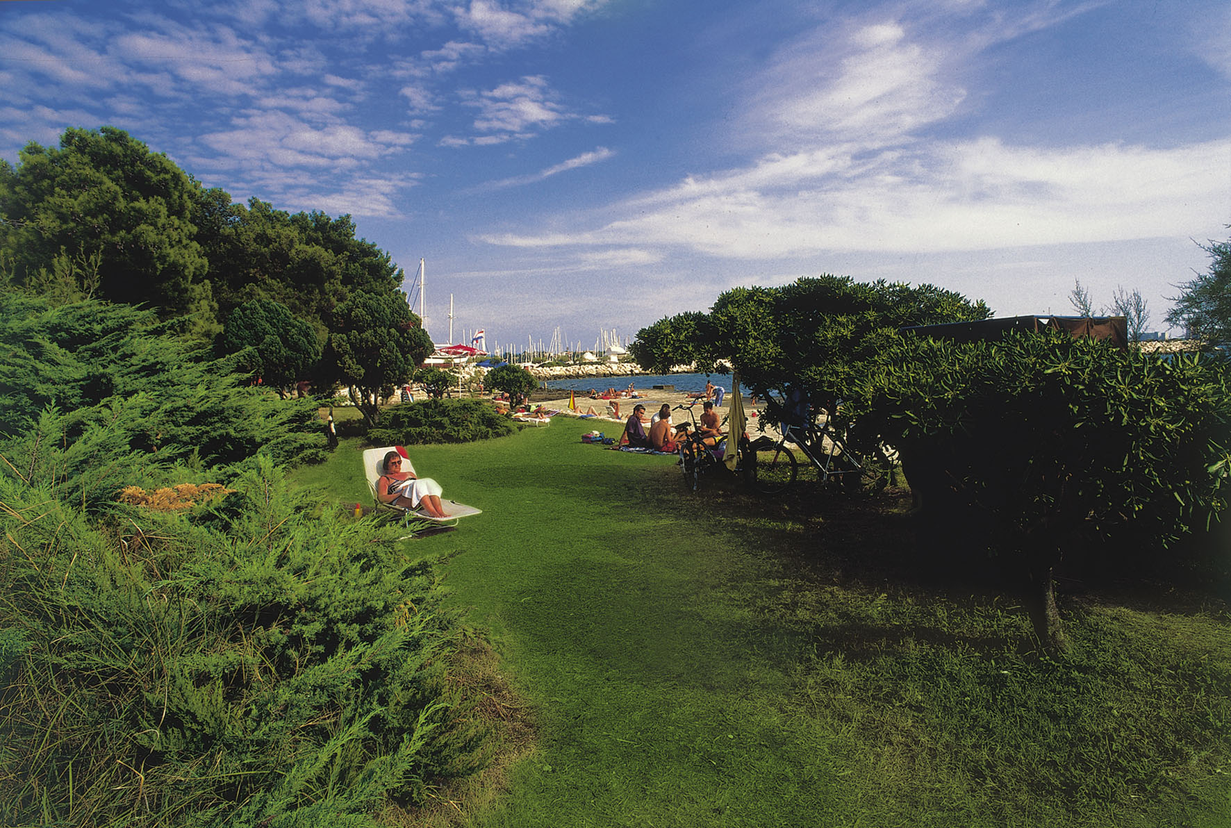a group of people sitting in chairs on a lawn