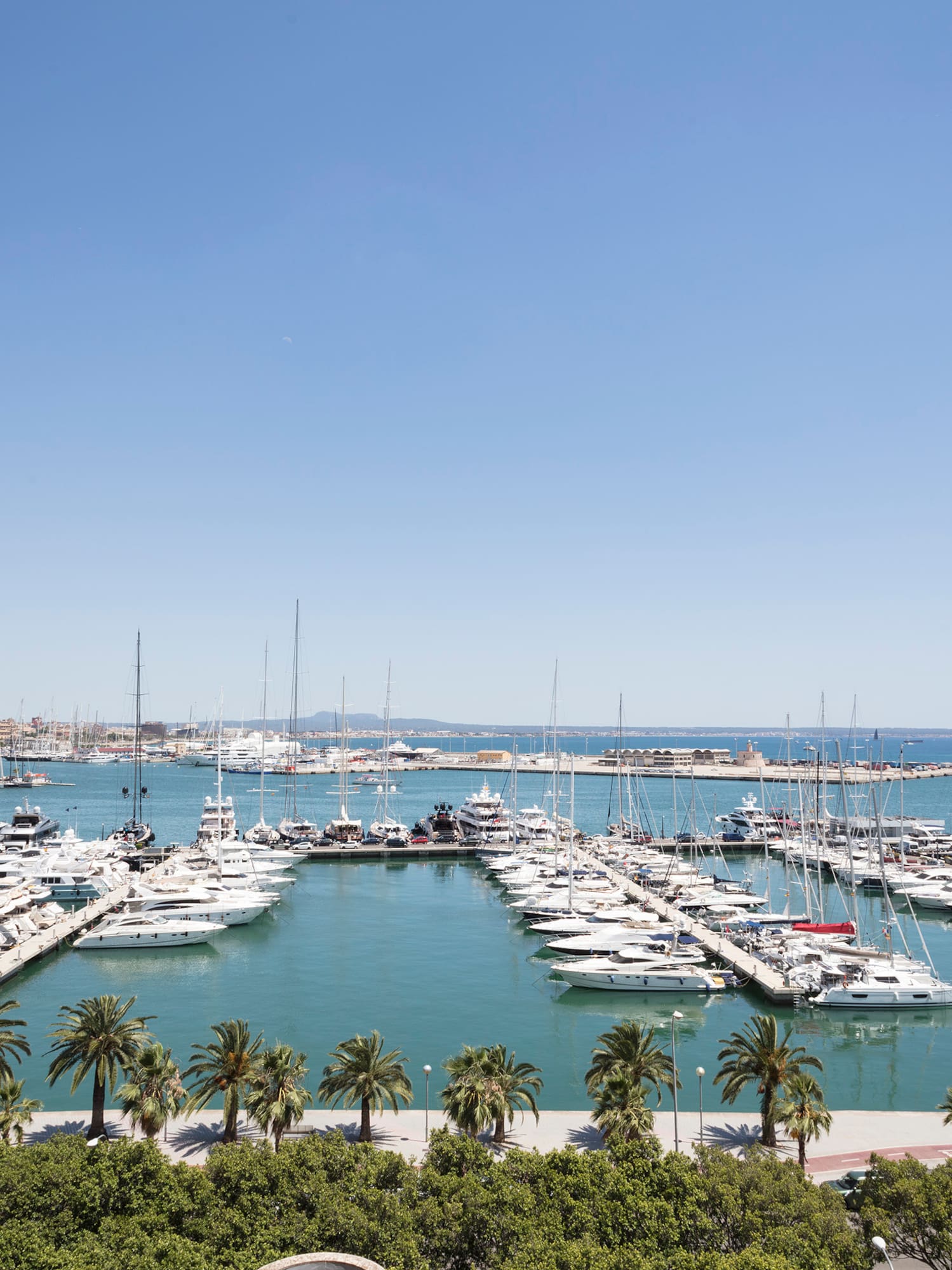 a group of boats in a harbor