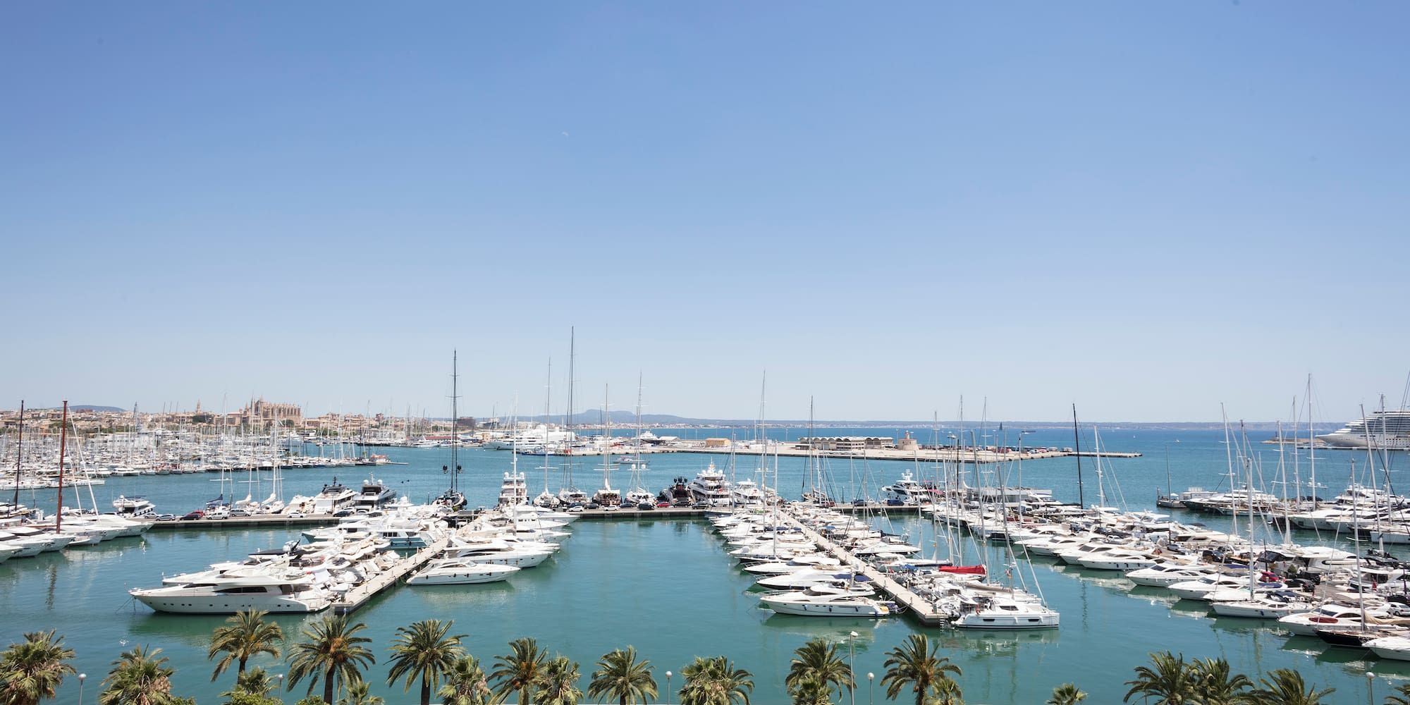 a group of boats in a harbor