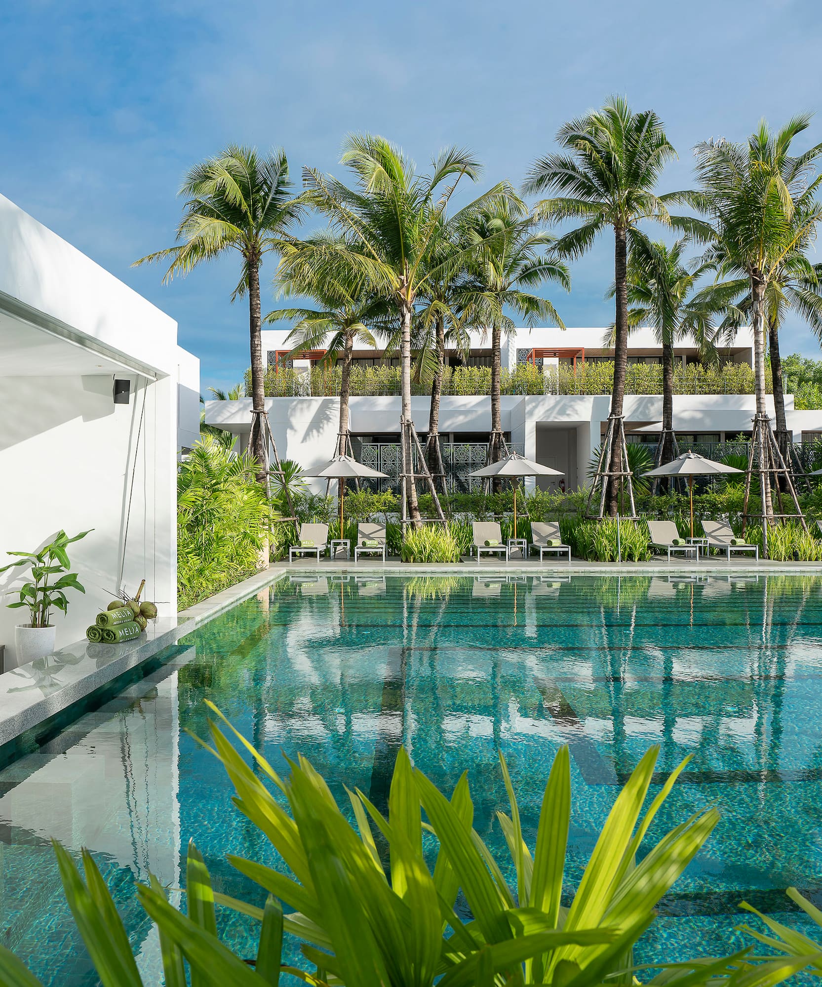 a pool with palm trees and a building