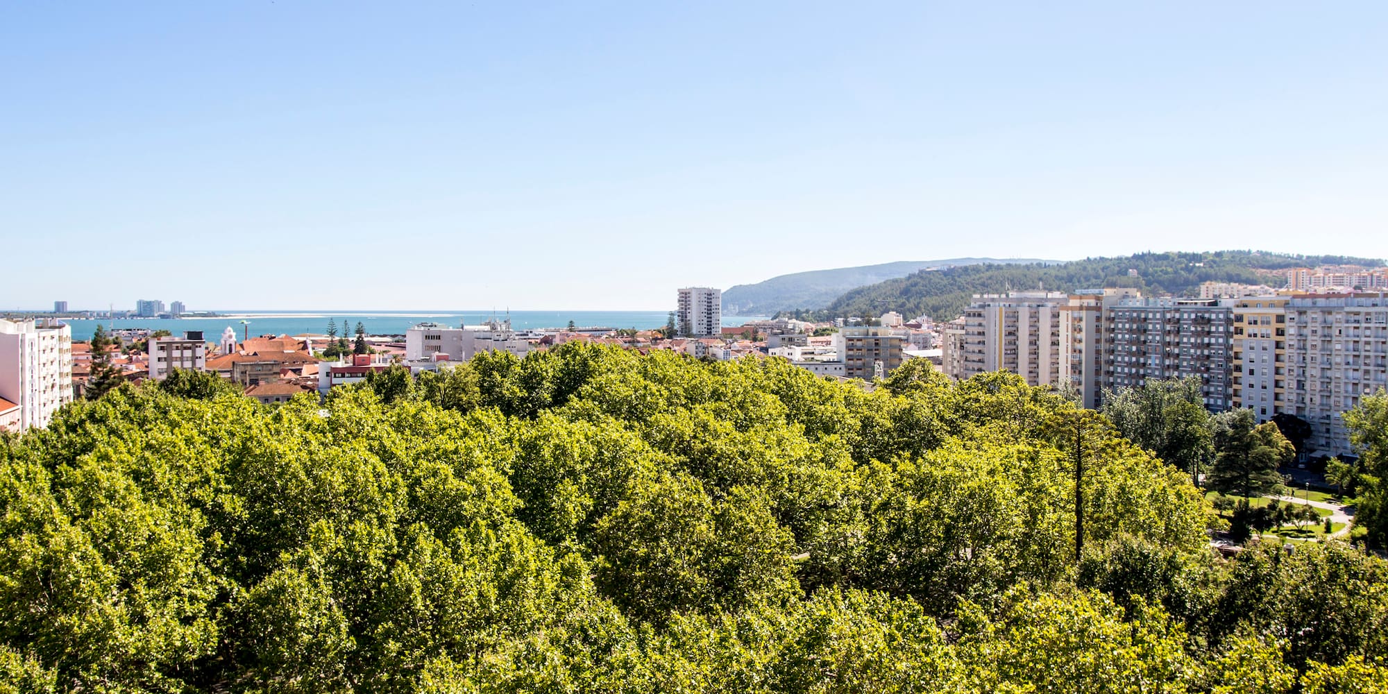 a city with trees and buildings