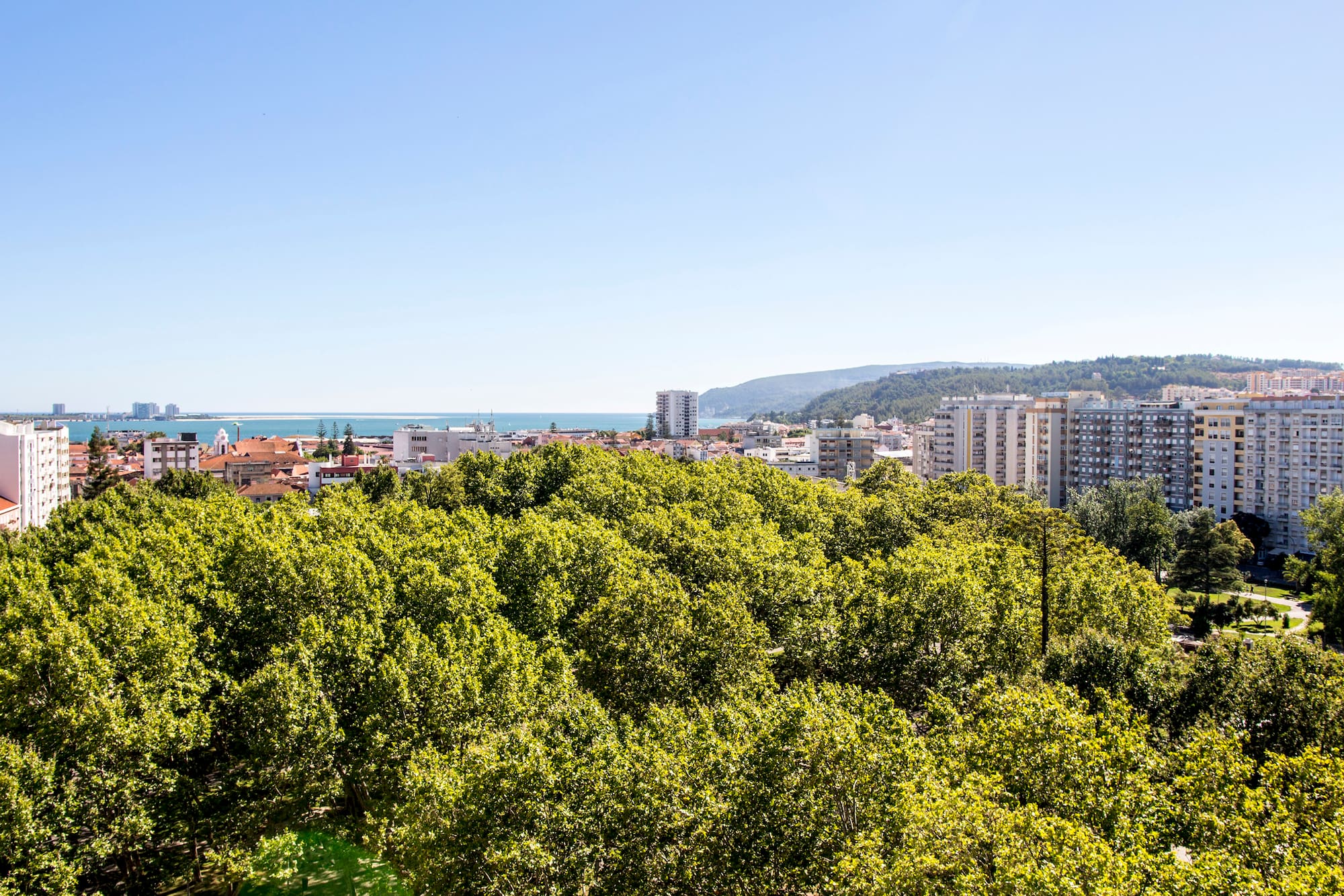 Coastal city panorama: green trees, urban buildings, and clear blue sea