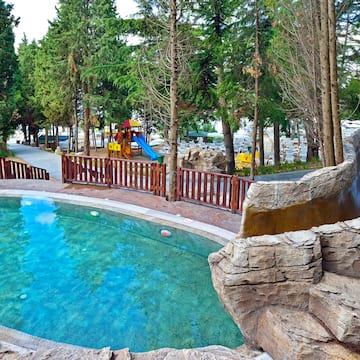 a pool with a slide and trees