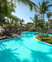 a pool with palm trees and a straw umbrella