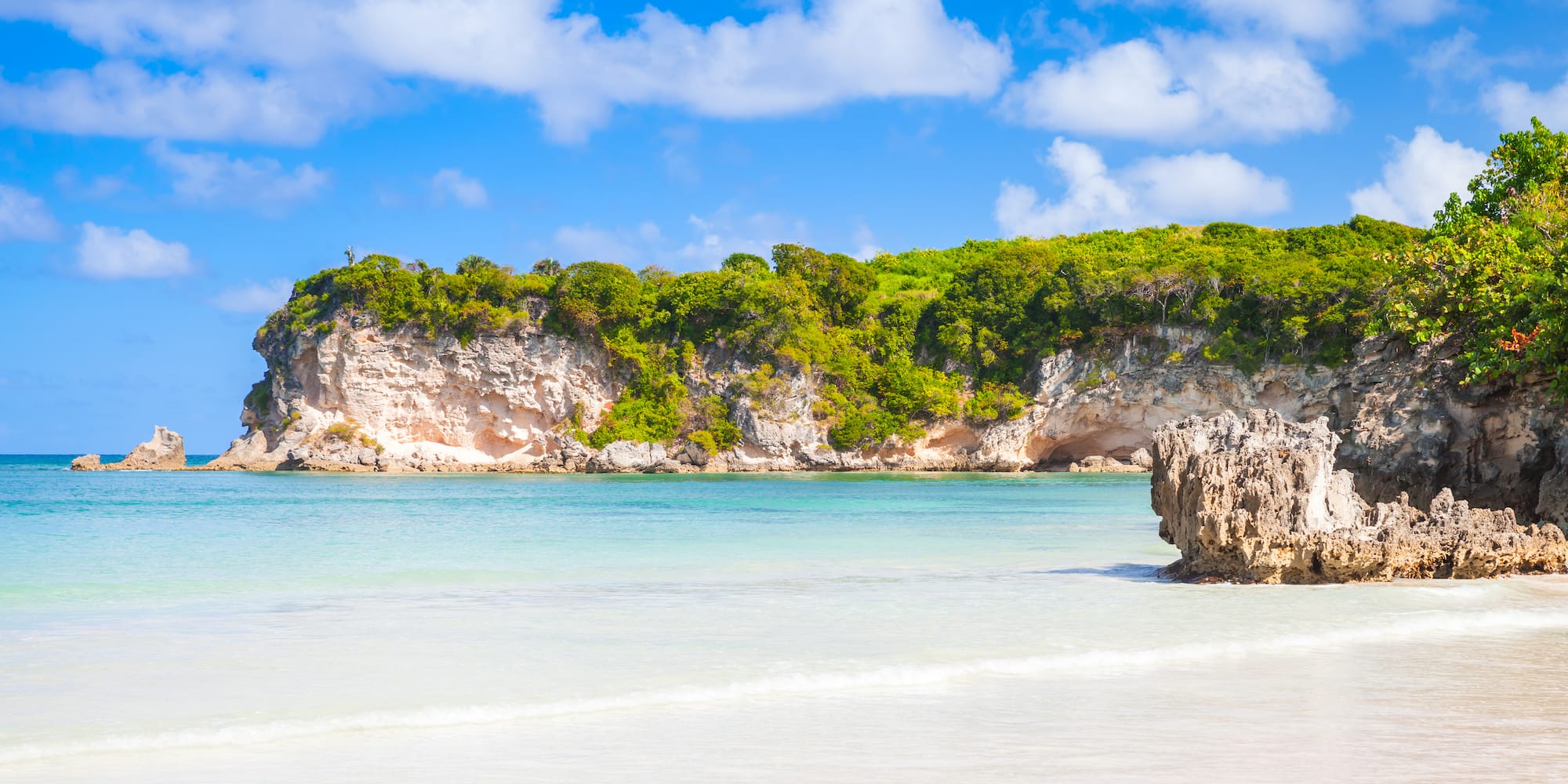 a beach with a rock and trees