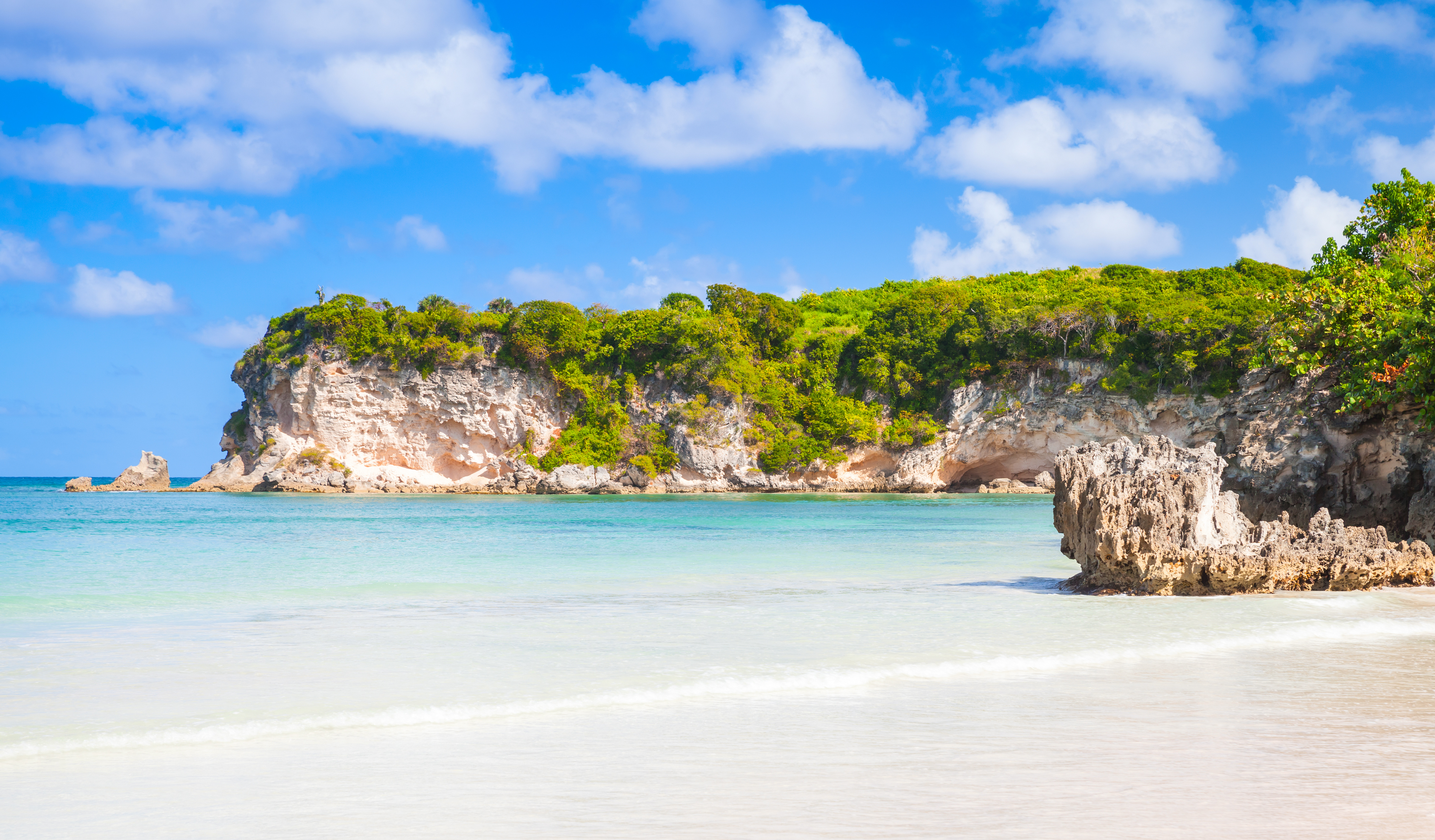 a beach with a rock and trees