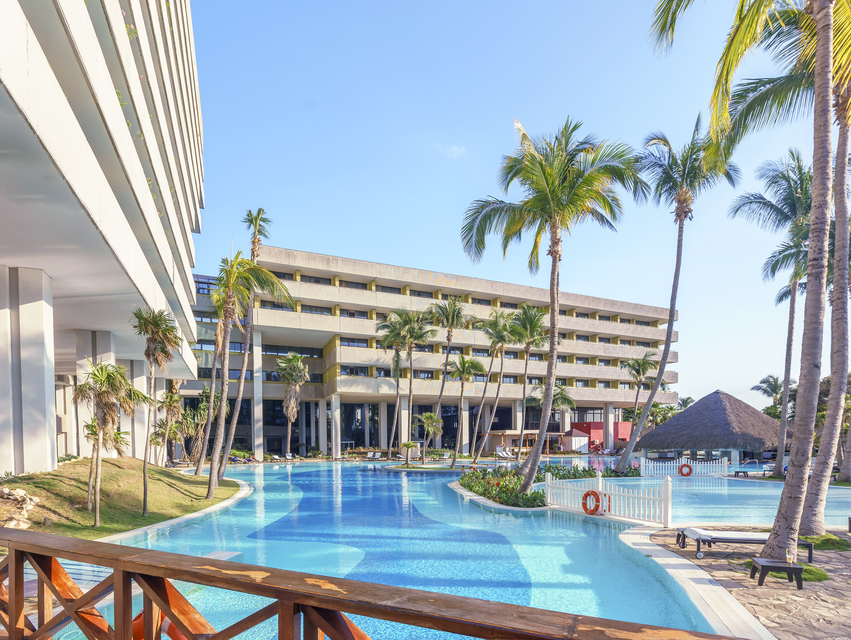 a pool with palm trees and a building