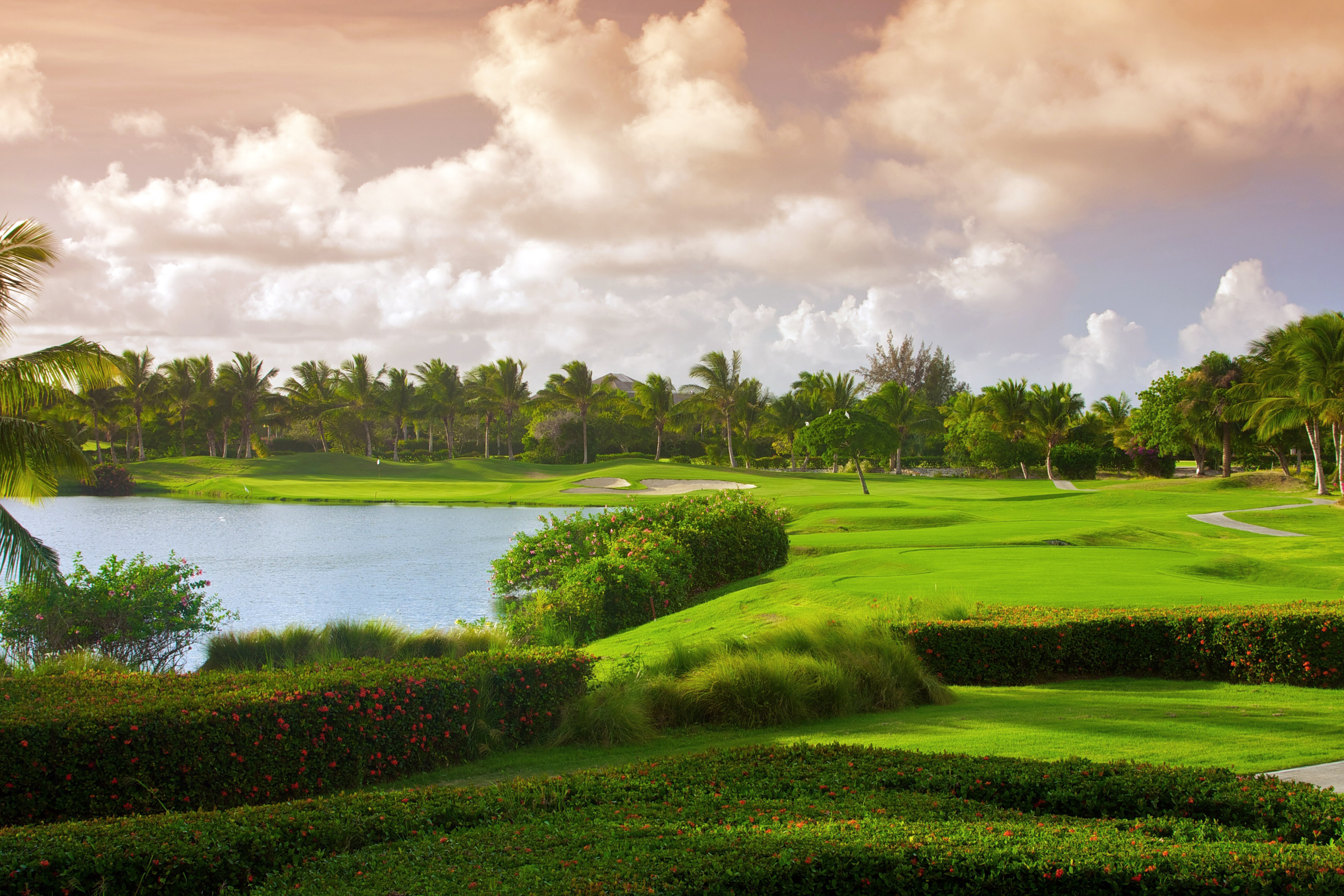 a golf course with a body of water and trees