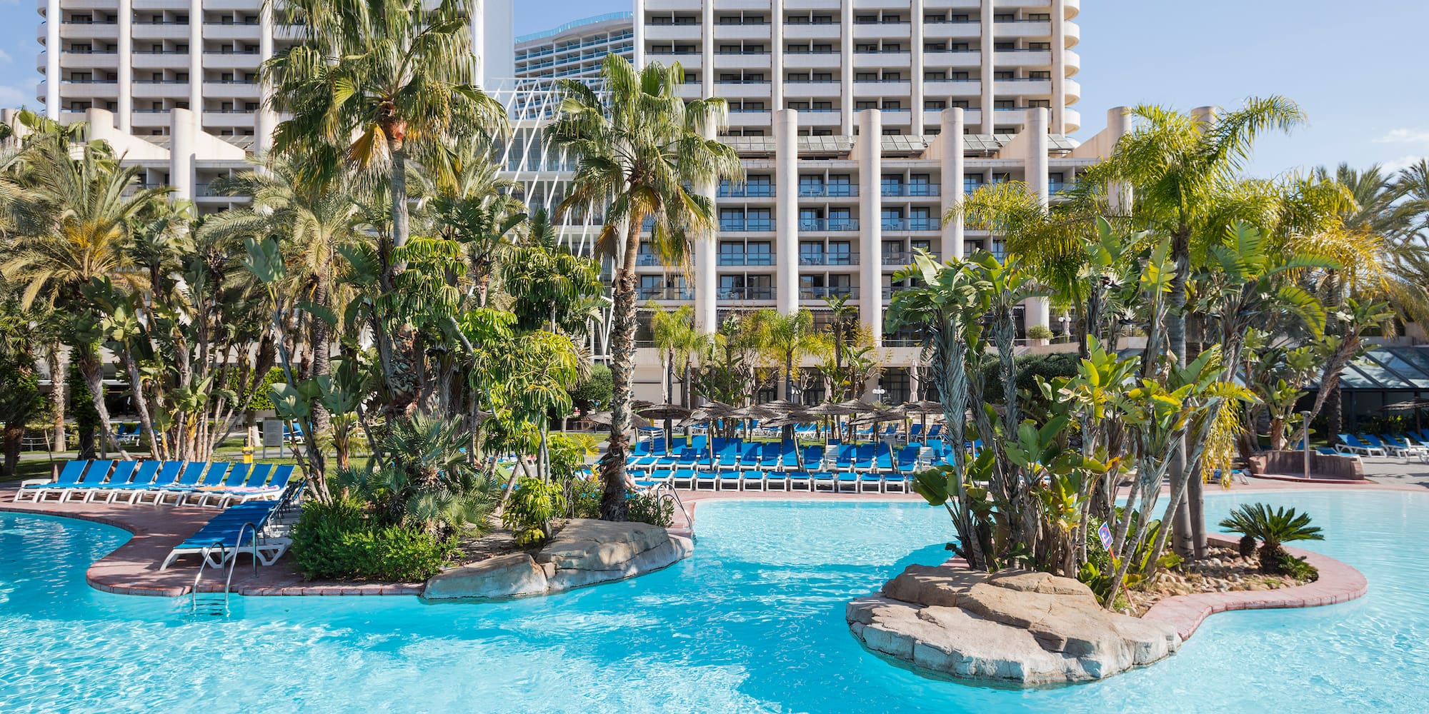 a pool with palm trees and a large building