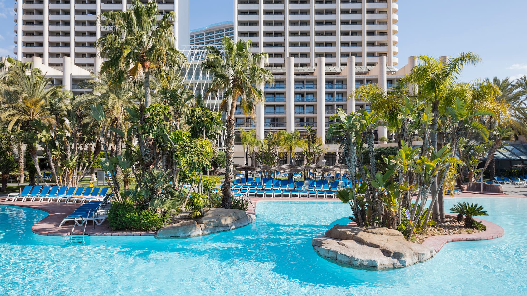 a pool with palm trees and a large building