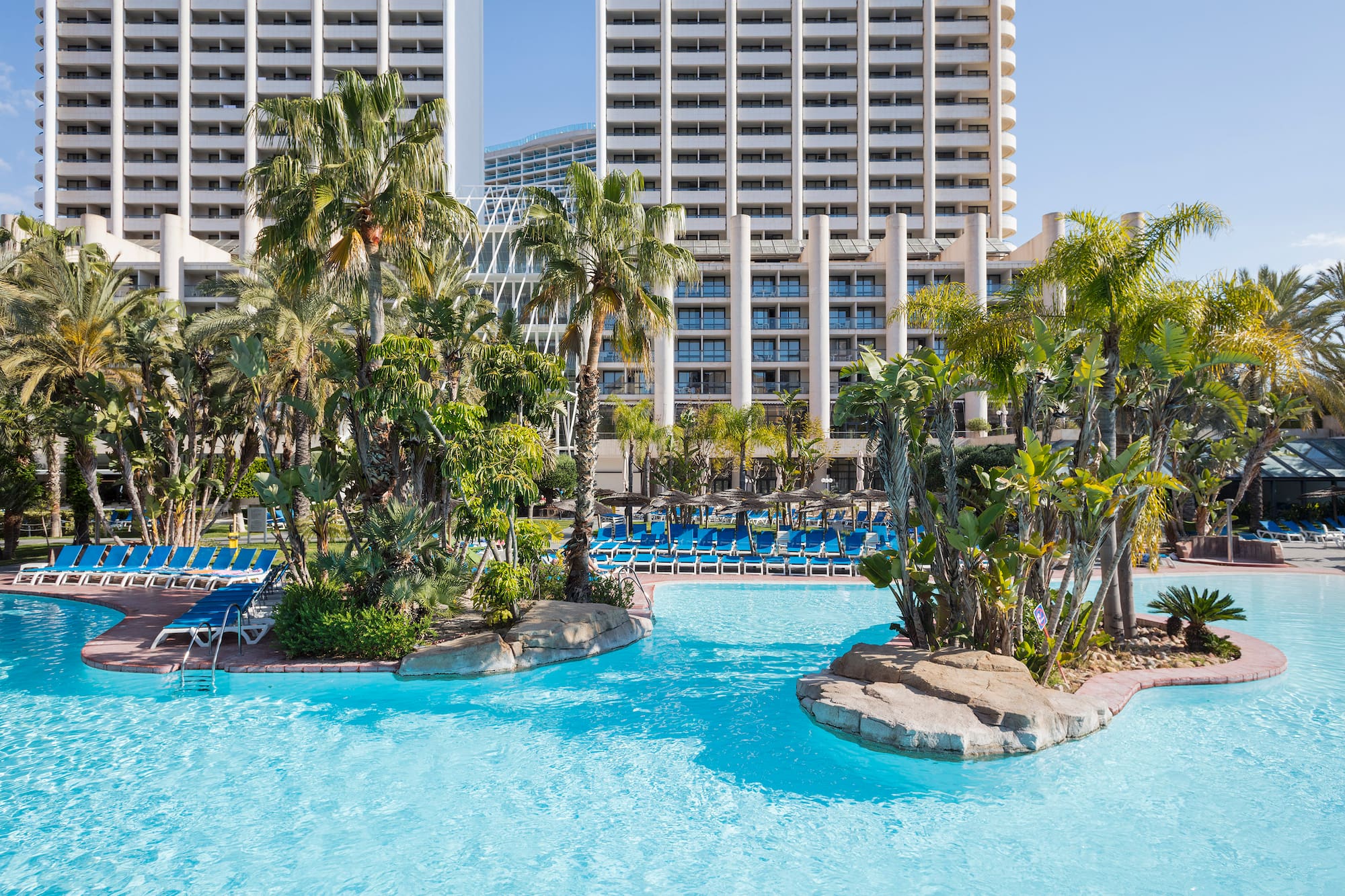 a pool with palm trees and a large building