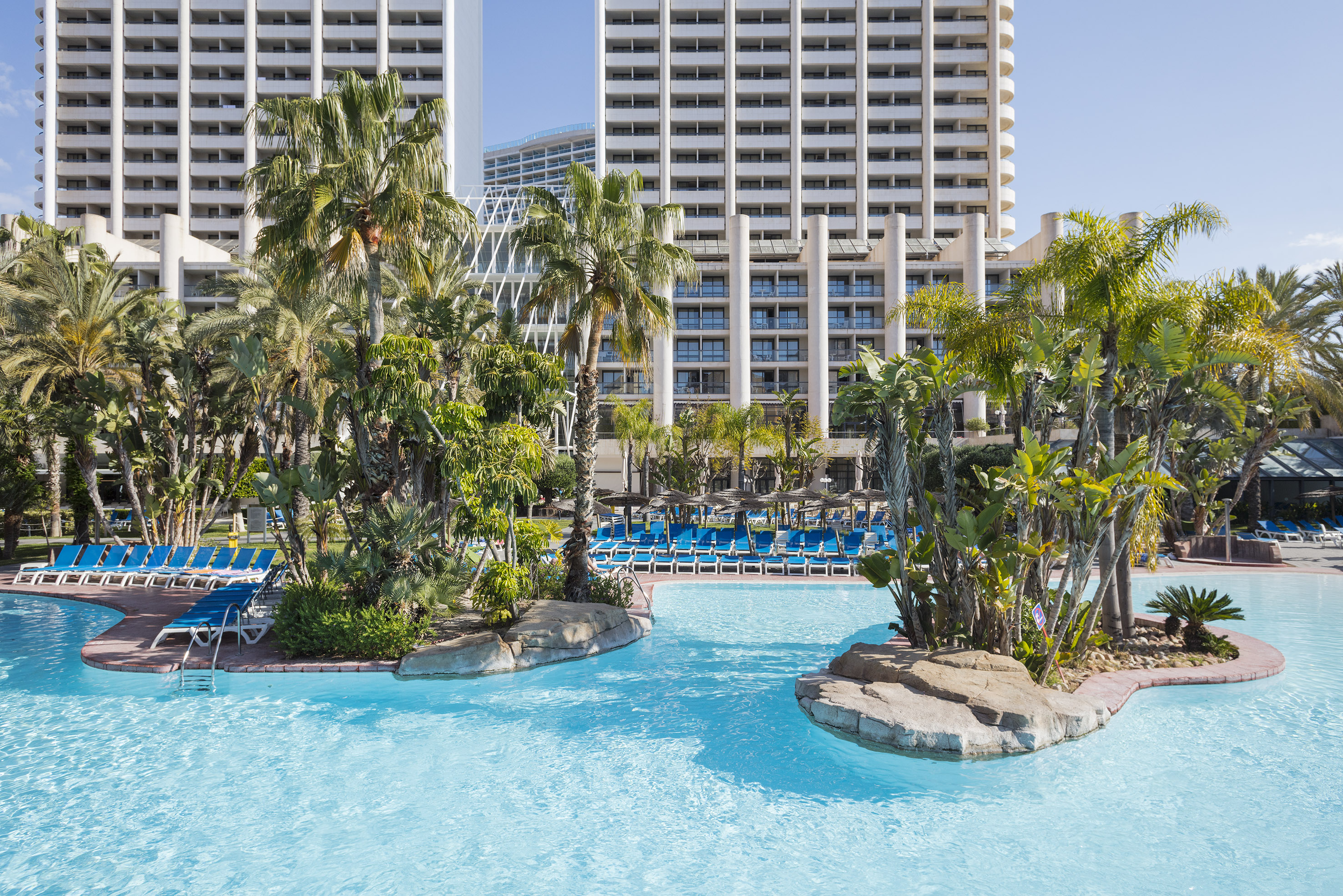 Tropical resort swimming pool with palm tree islands, blue lounge chairs, hotel.