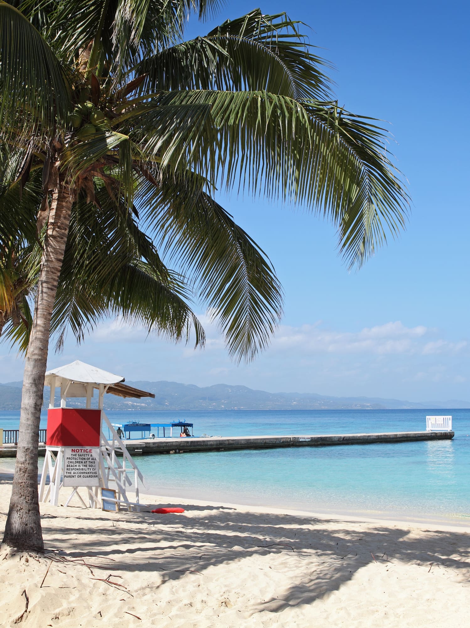 a beach with palm trees and a dock