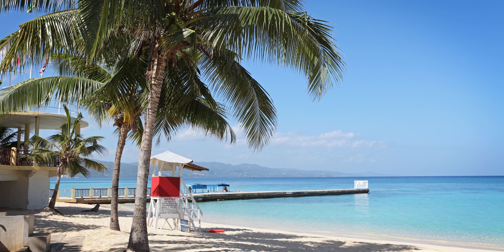 a beach with palm trees and a dock