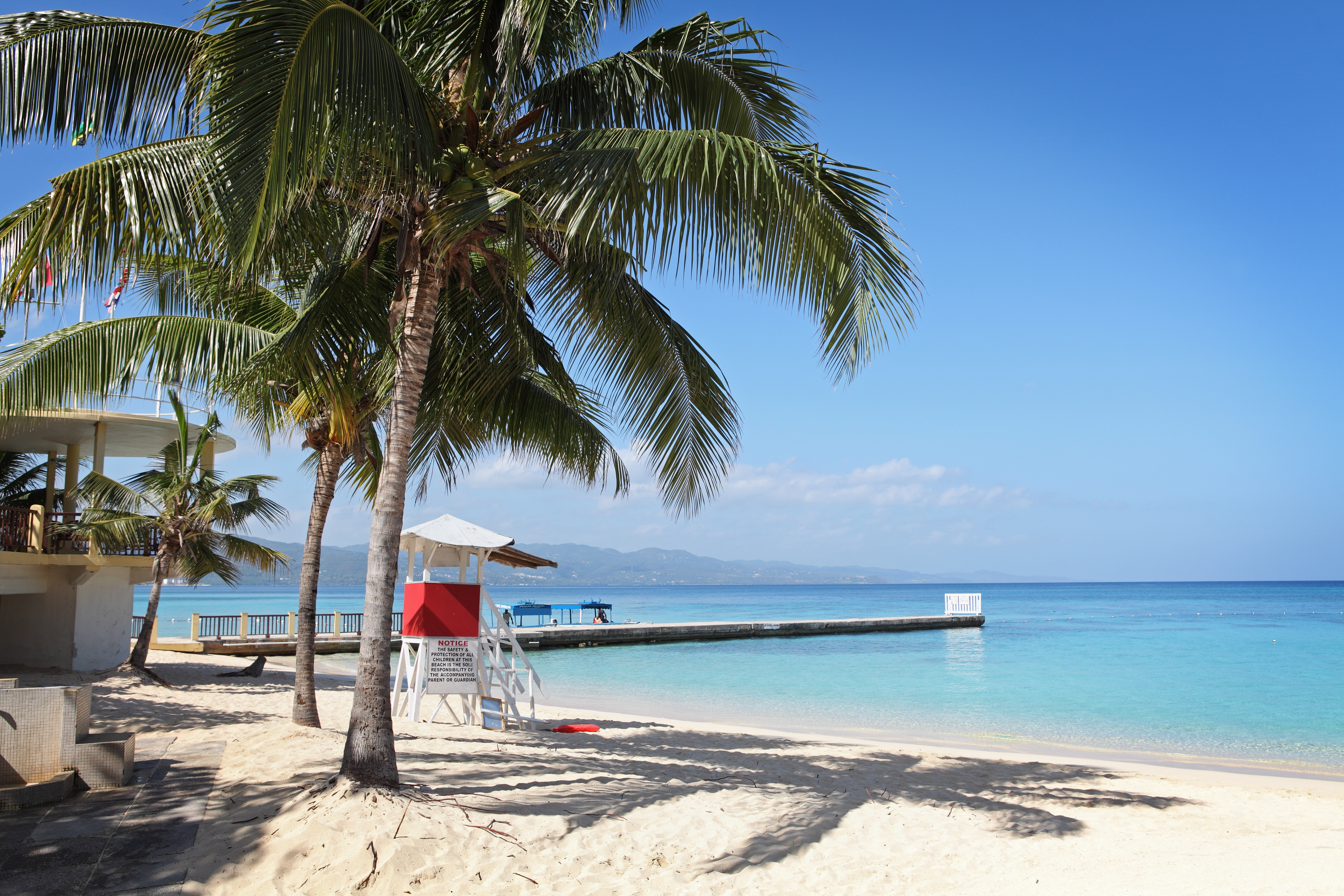 a beach with palm trees and a dock
