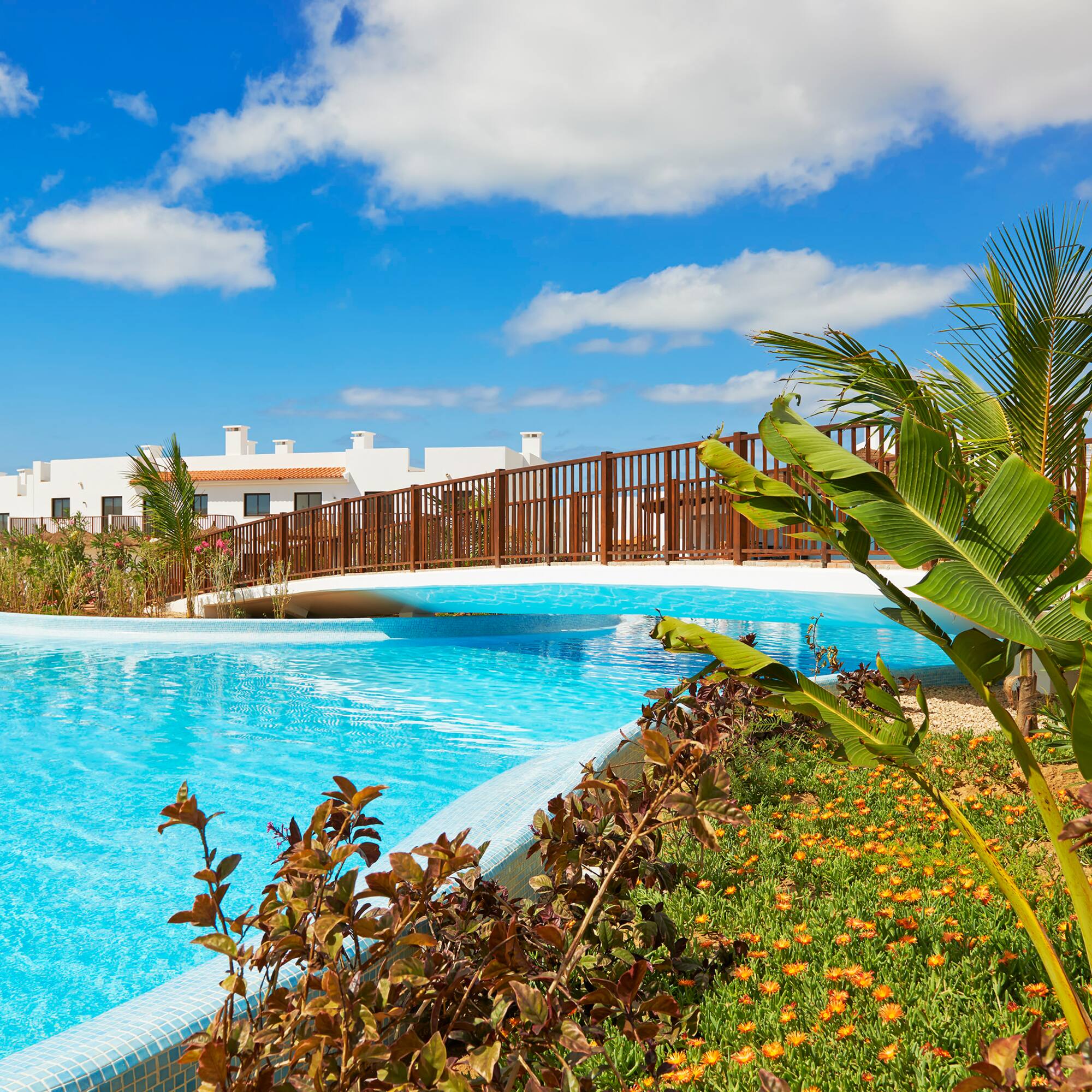 a pool with a bridge over it